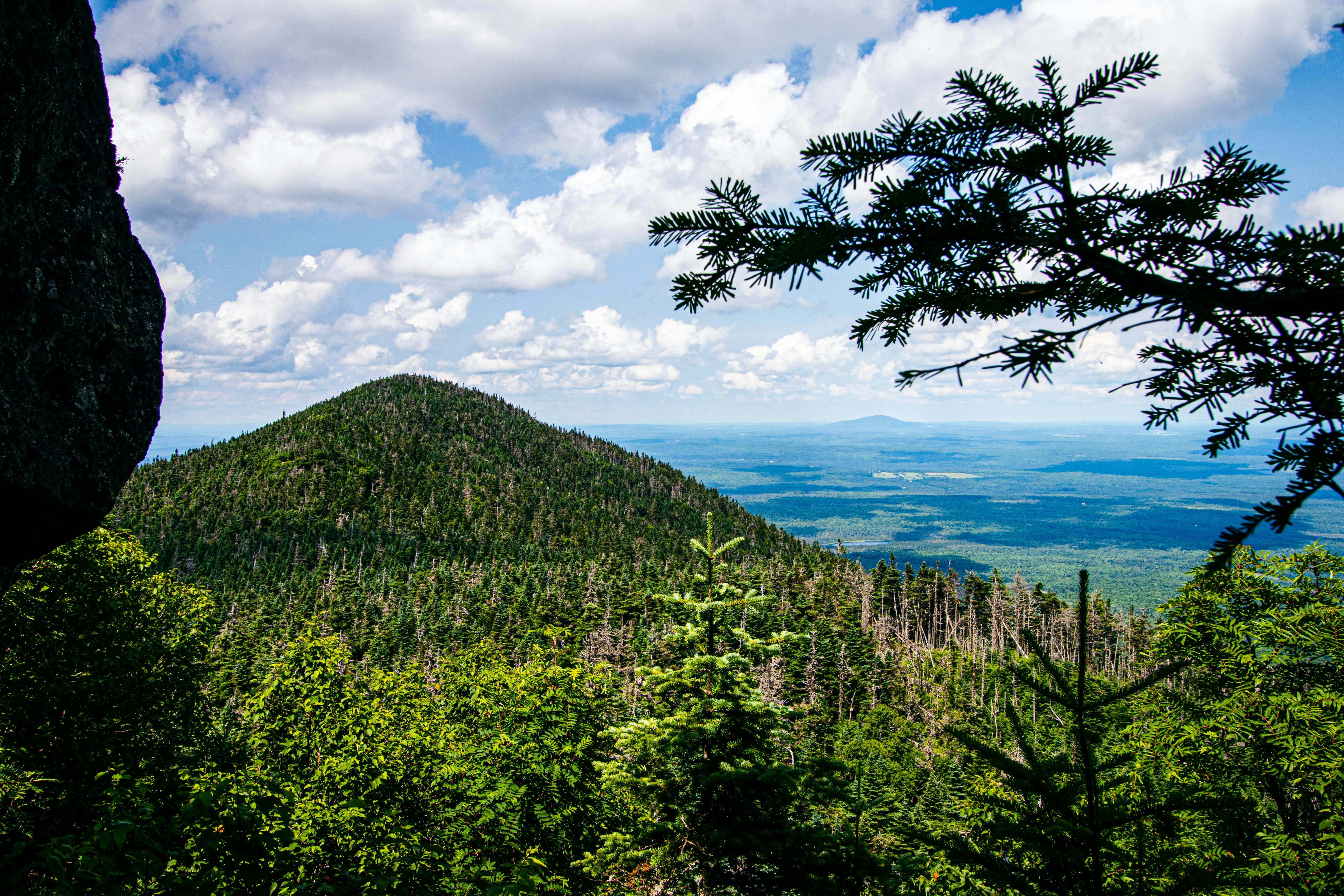 Photo by painchaud12