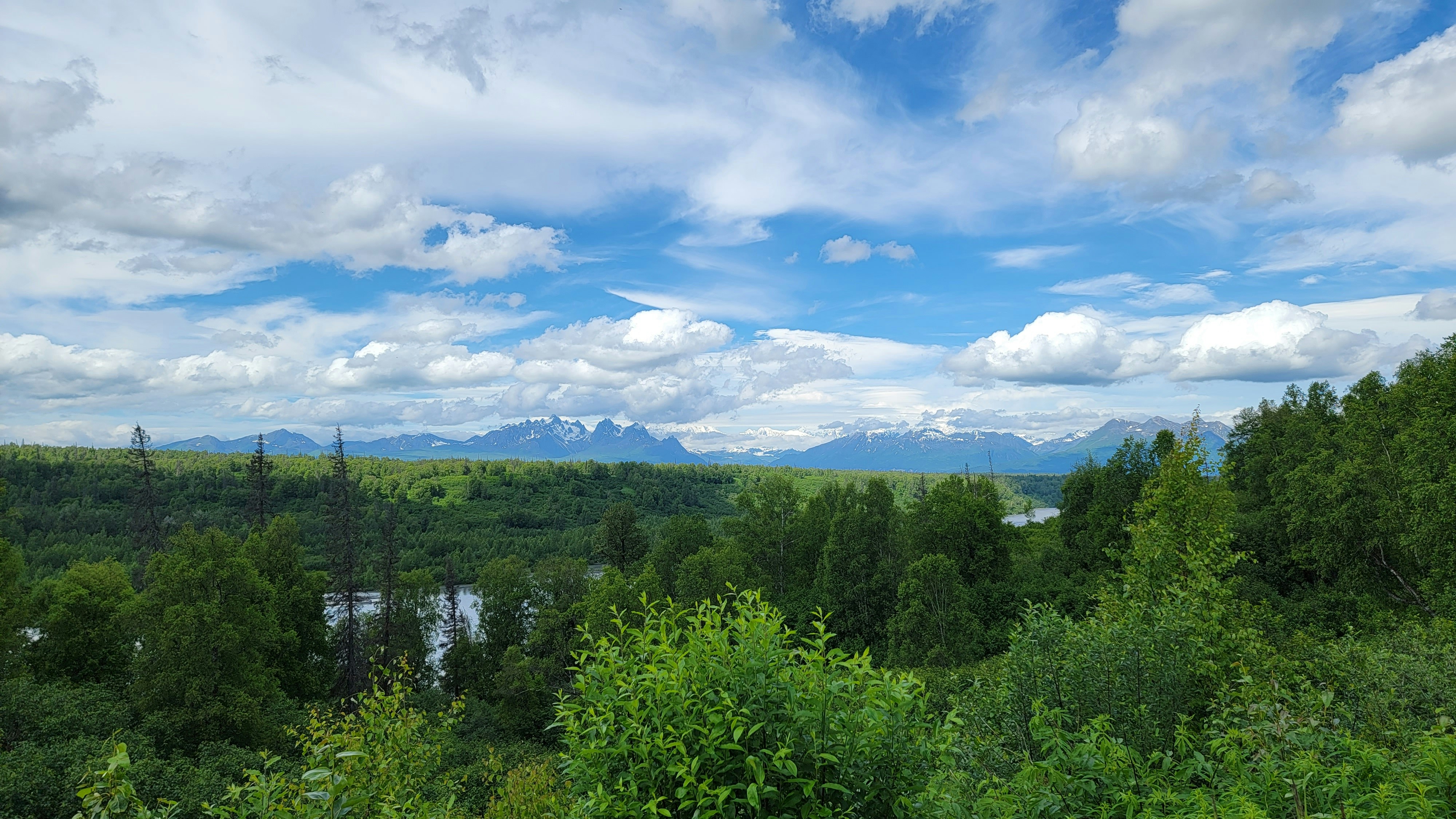a scenic view of a lake surrounded by trees