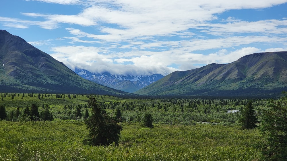 a view of a valley with mountains in the background