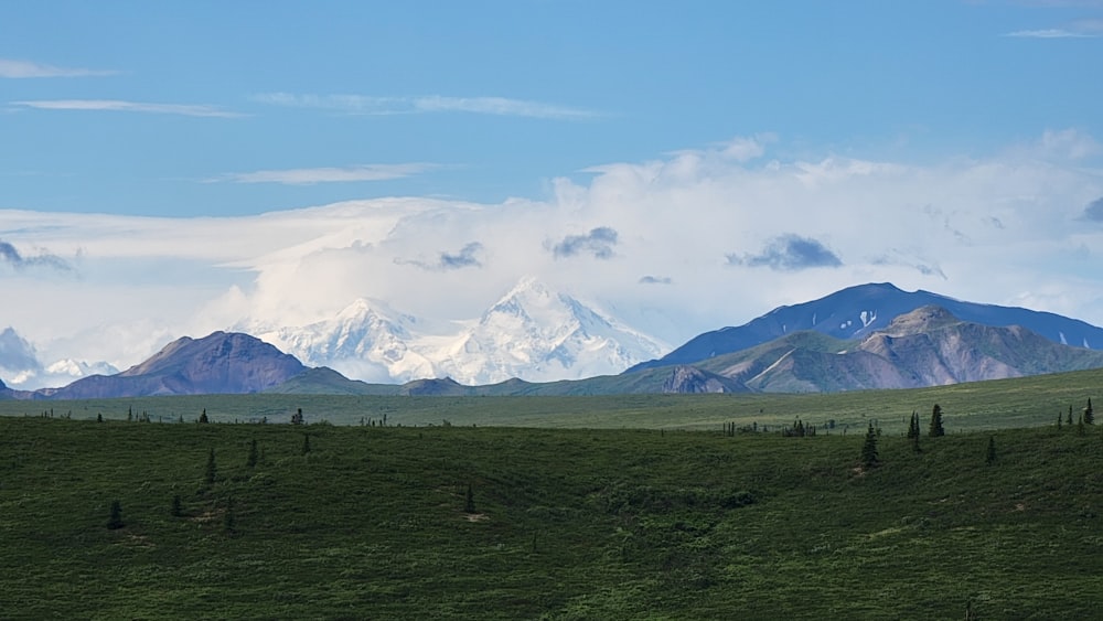 a green field with mountains in the background