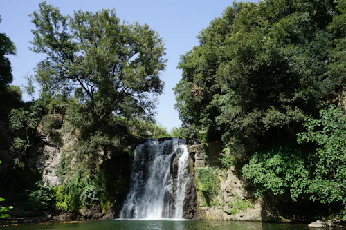 Cascade au milieu de la forêt — NaturiaGo