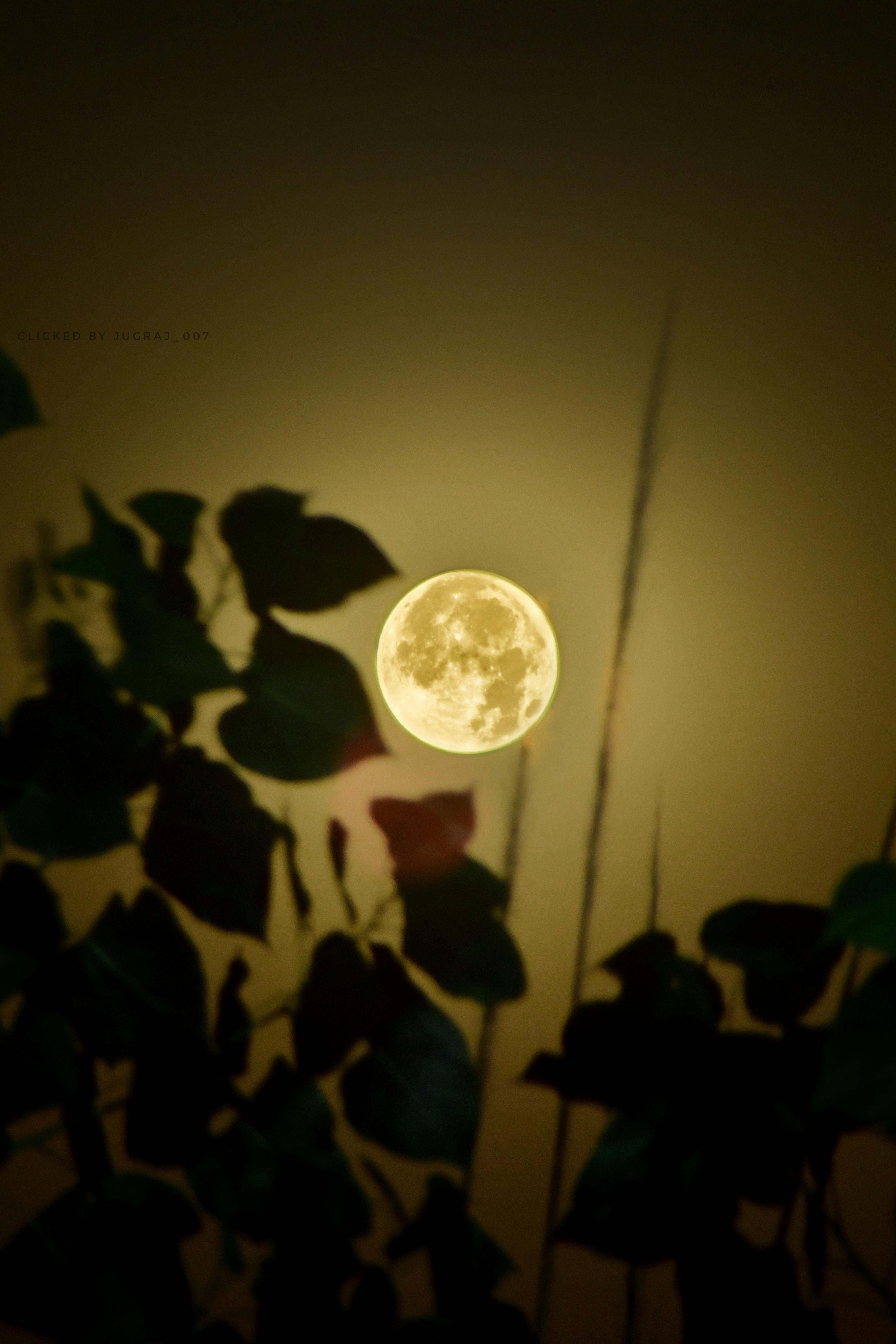 Mystic Moonlight Print