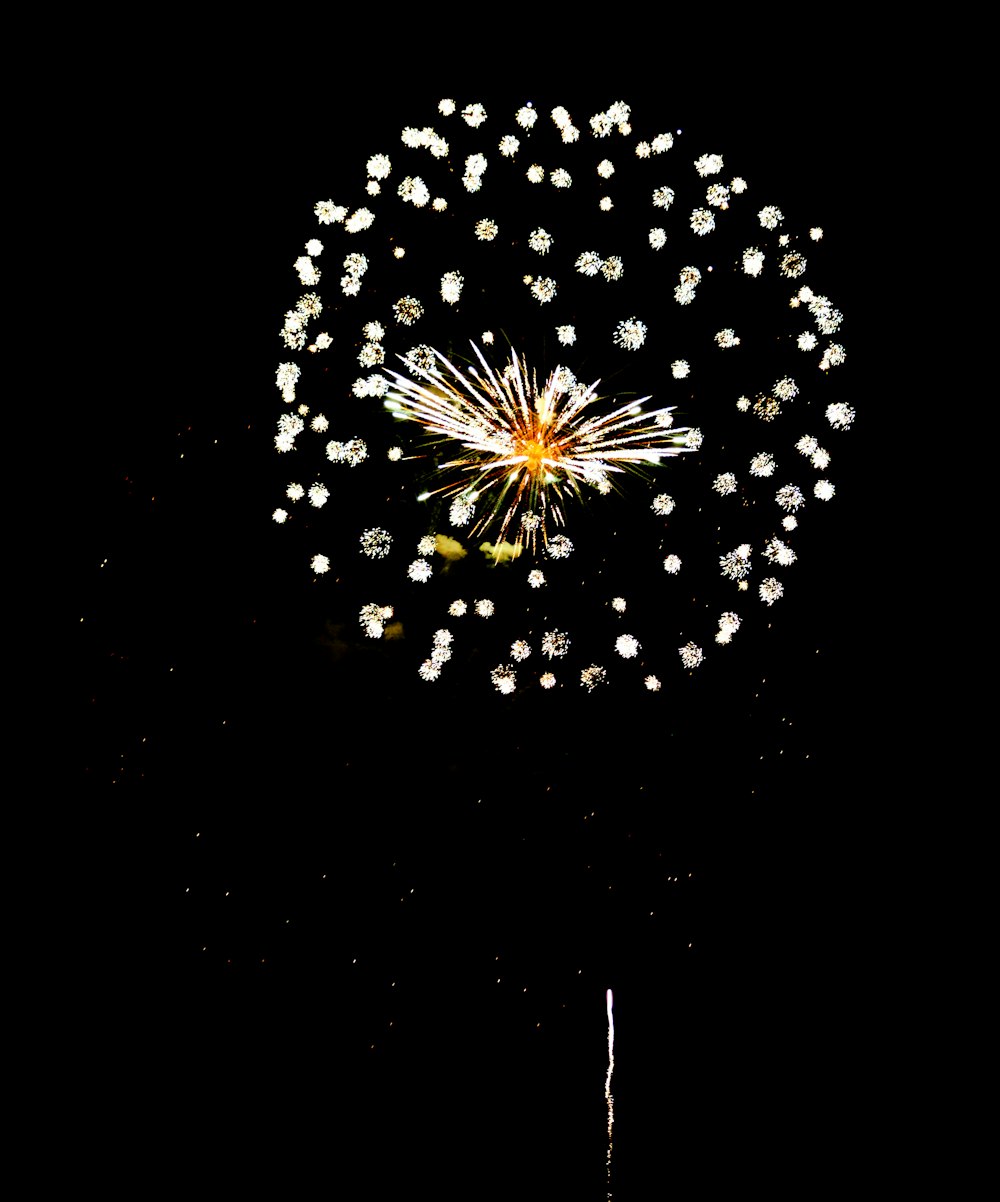 a fireworks is lit up in the night sky