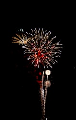 a firework is lit up in the night sky
