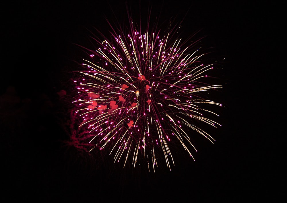 a colorful fireworks display in the dark sky