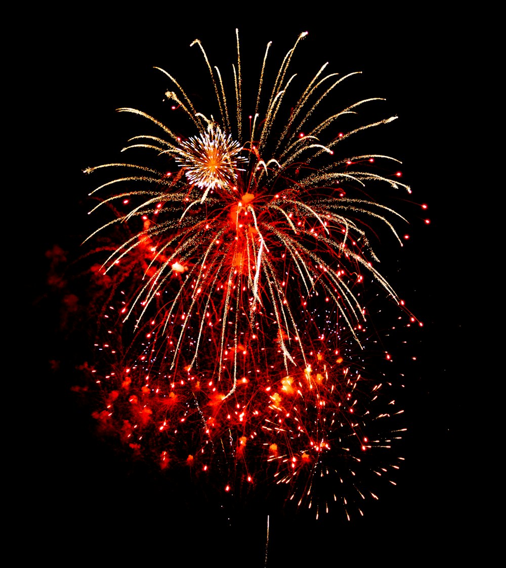 a large fireworks is lit up in the night sky