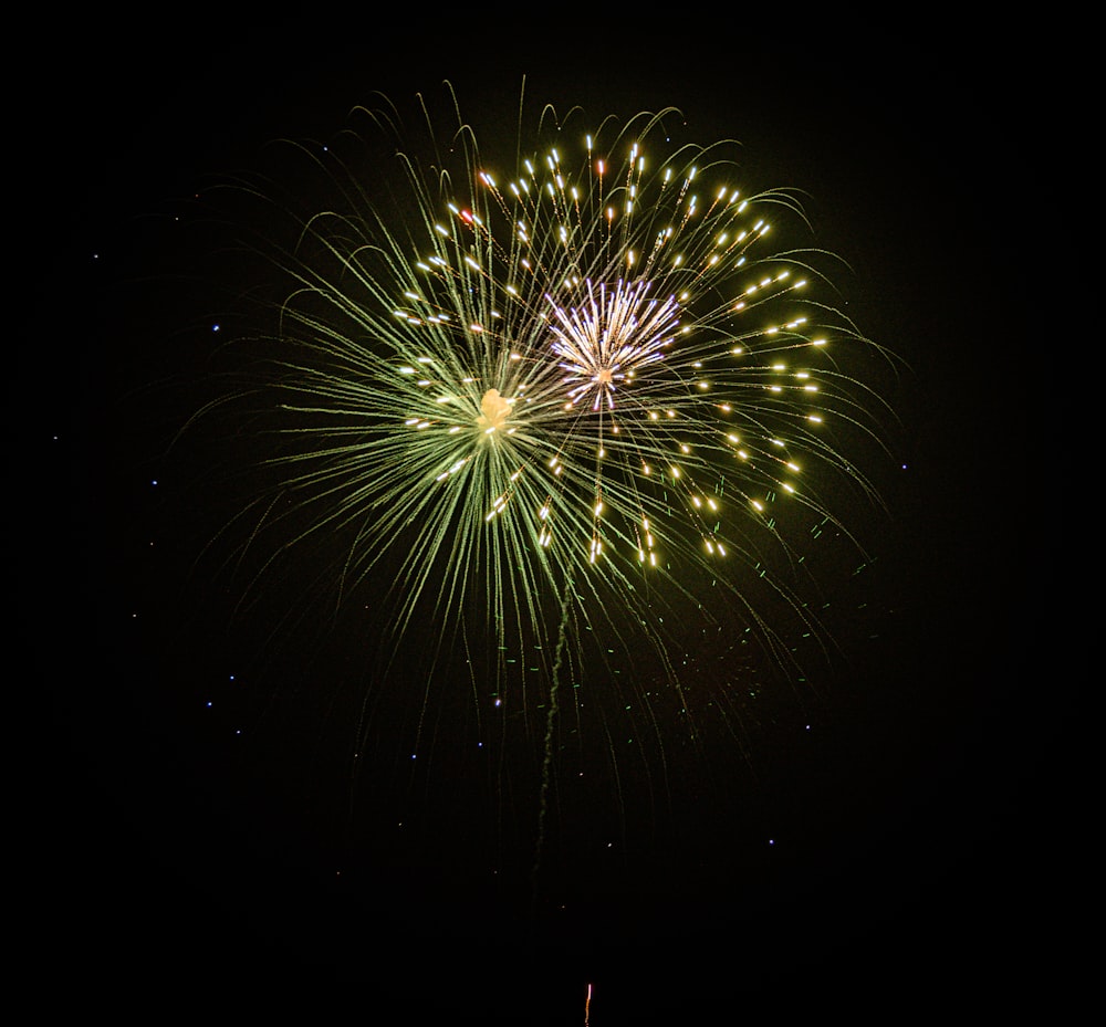 a large fireworks is lit up in the night sky