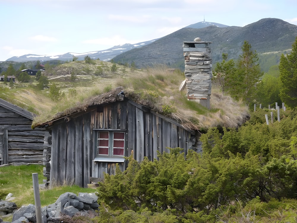 a house with a grass roof in the mountains