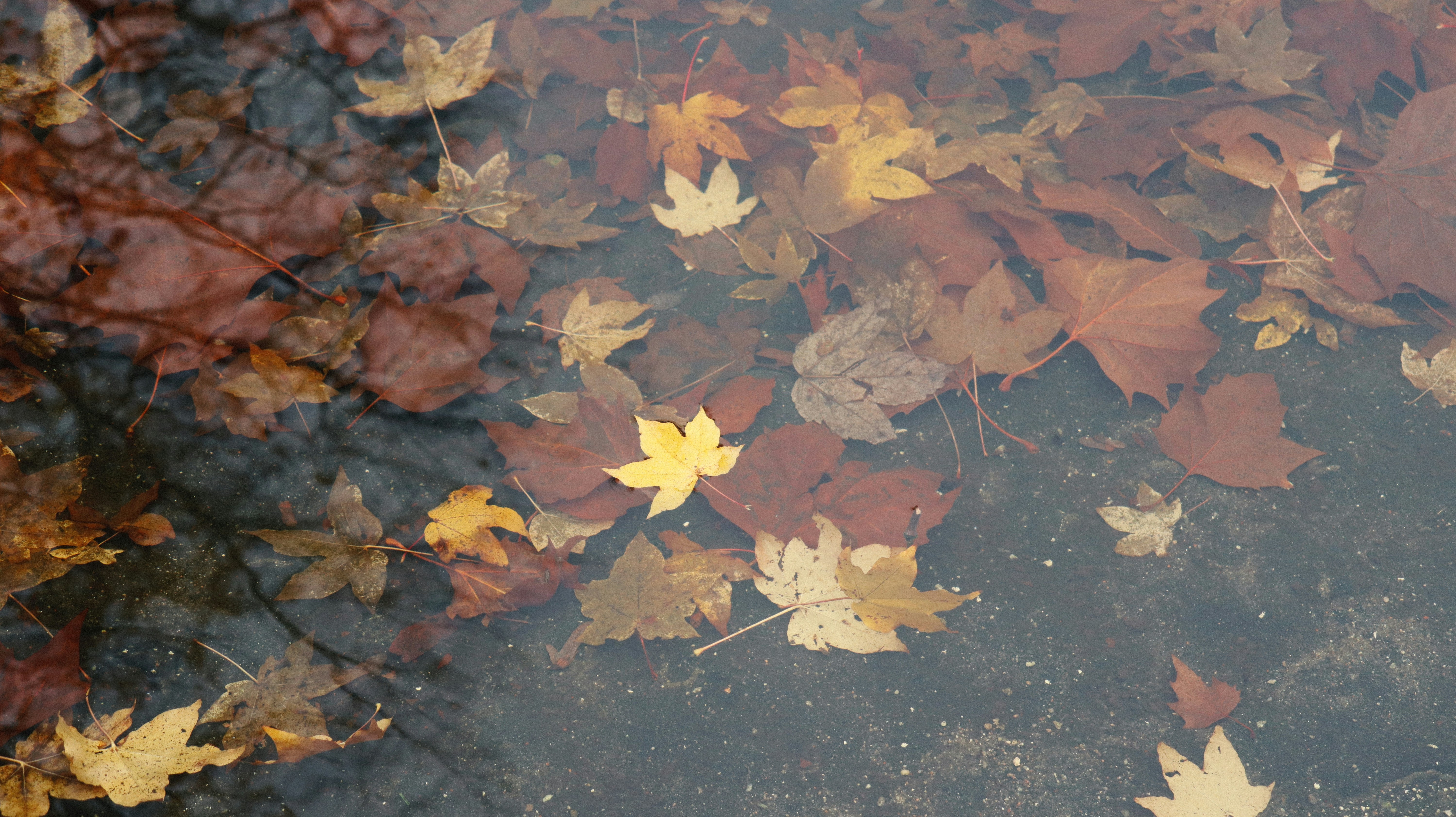 Photo by tolikrurac82