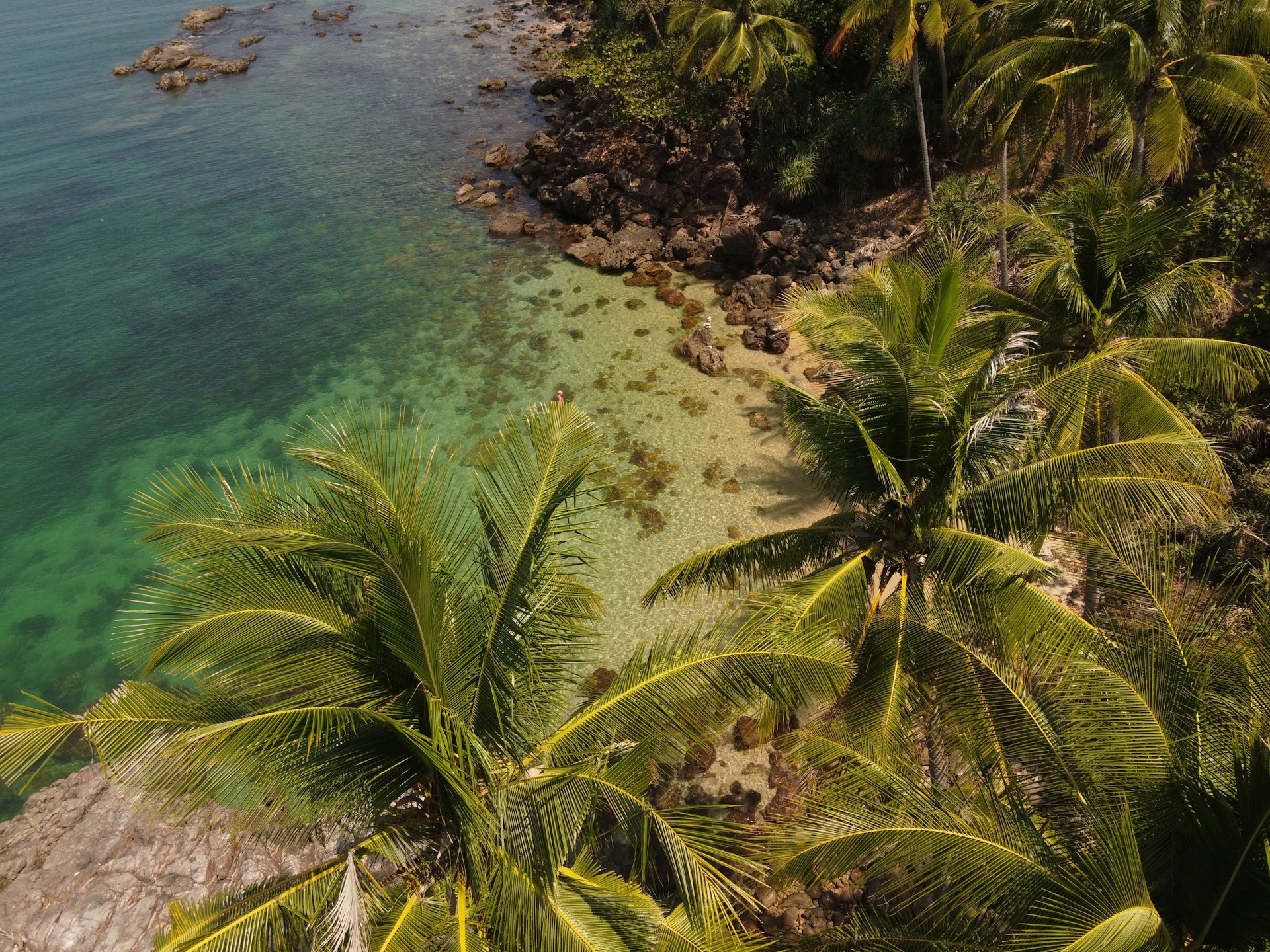 a tropical beach with palm trees and clear water