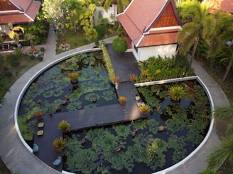 garden layout for beginners