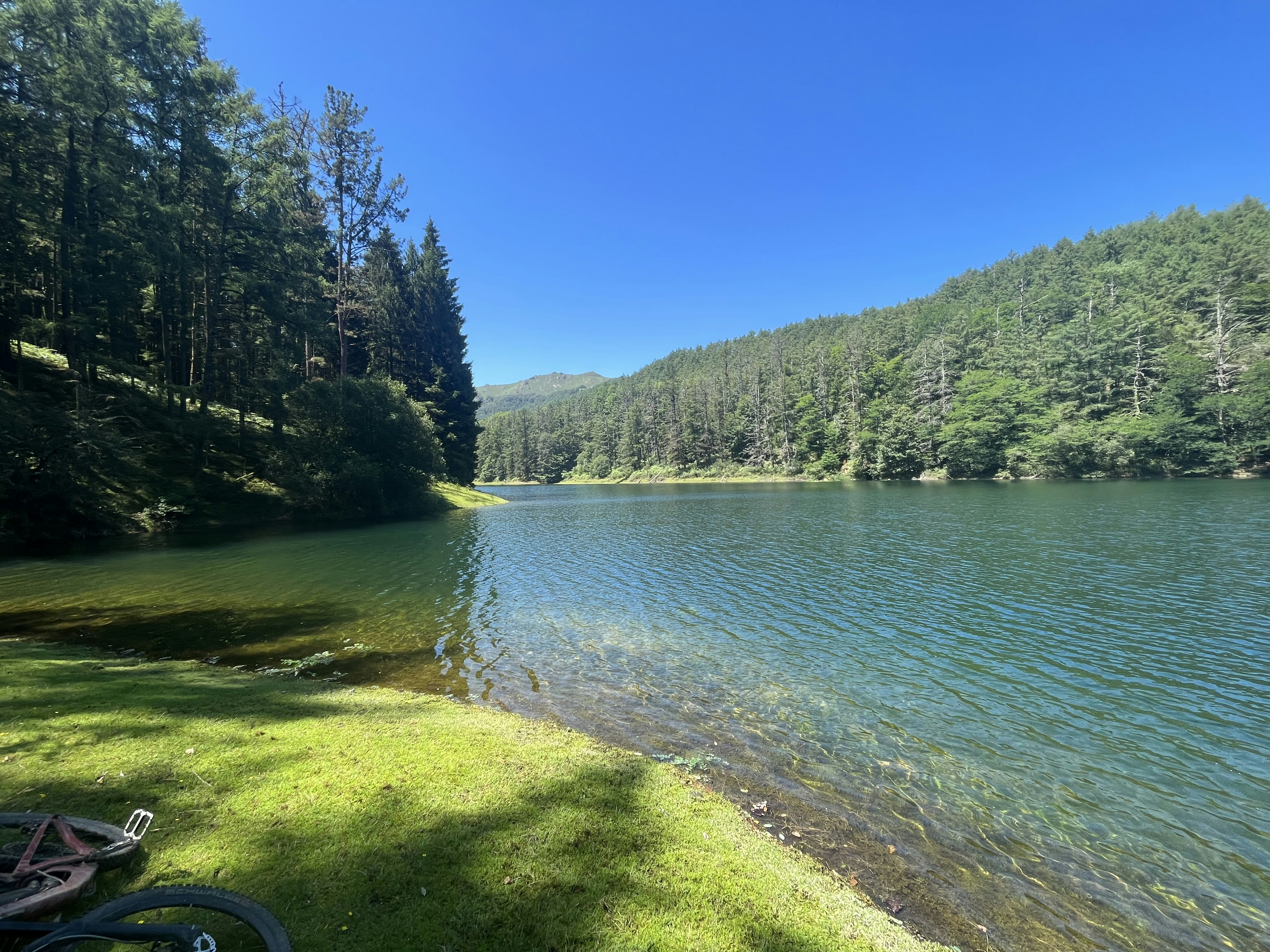 Photo by brennanmartinpeyton