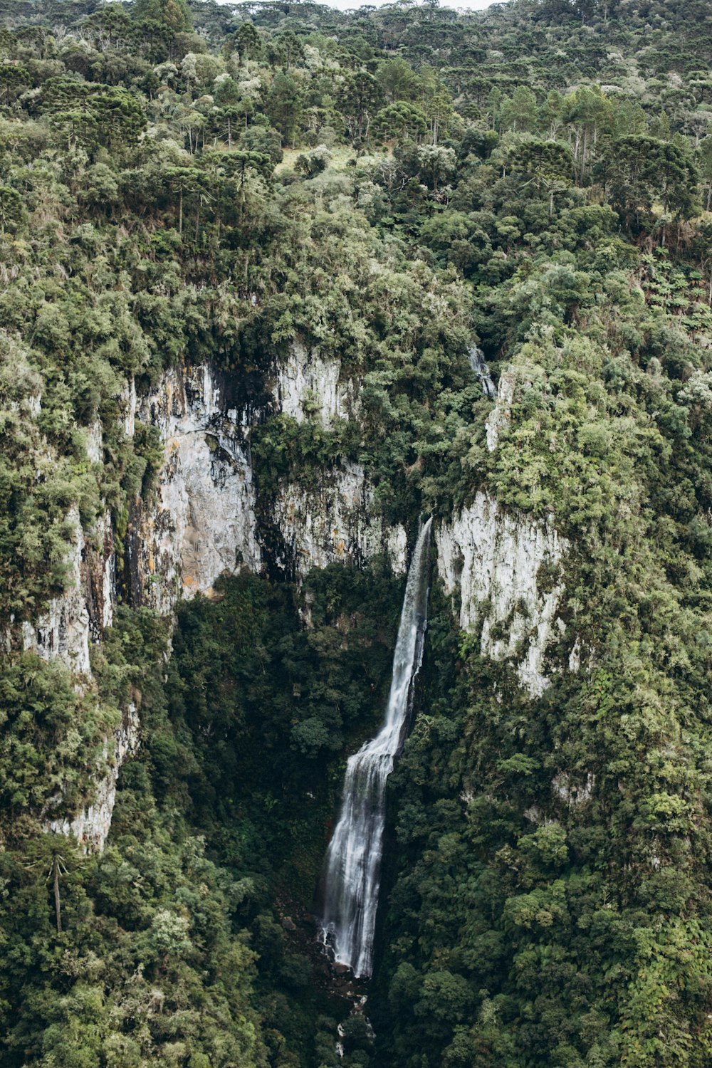 a waterfall in the middle of a forest