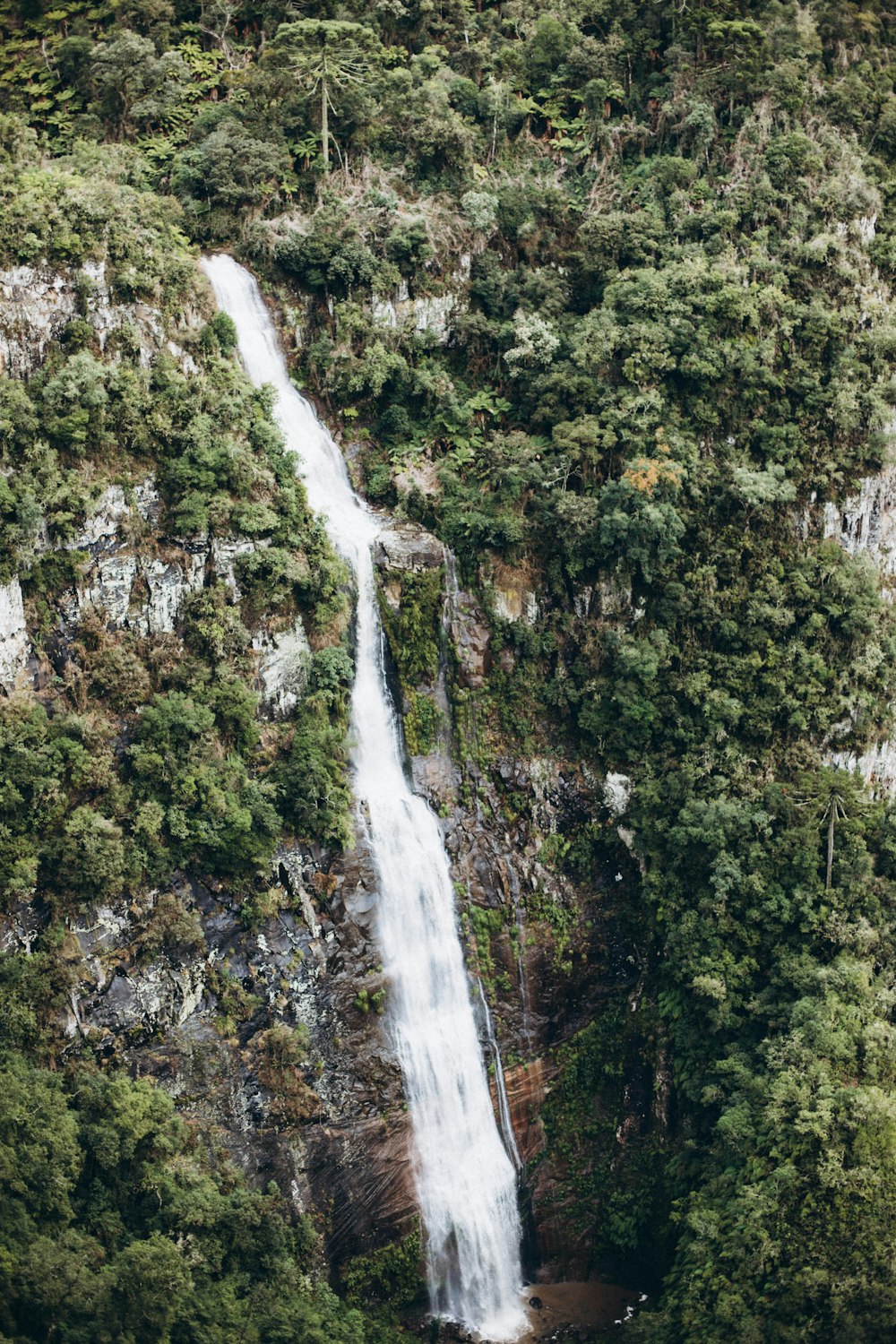 a waterfall in the middle of a forest