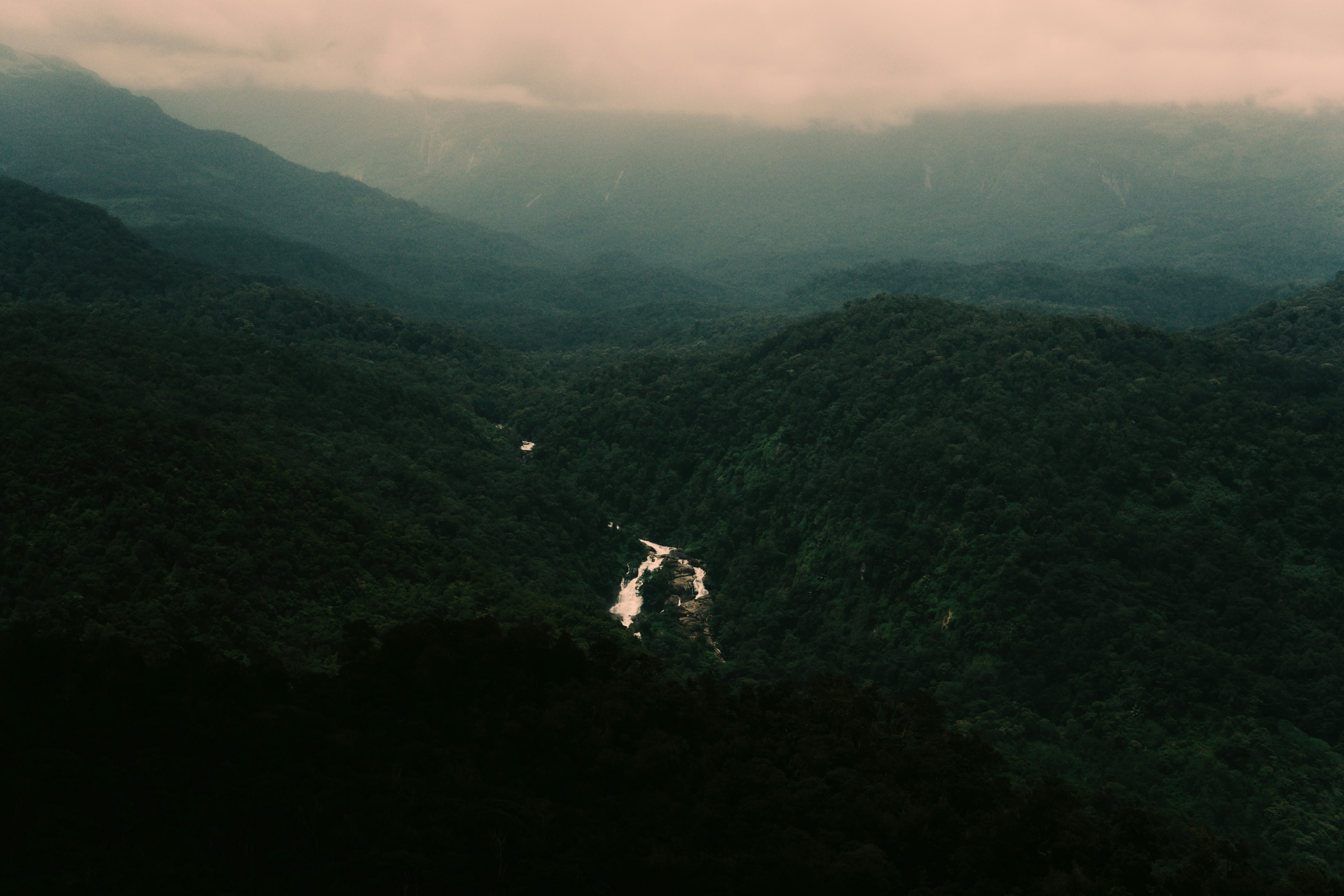 Photo by nanduvasudevan