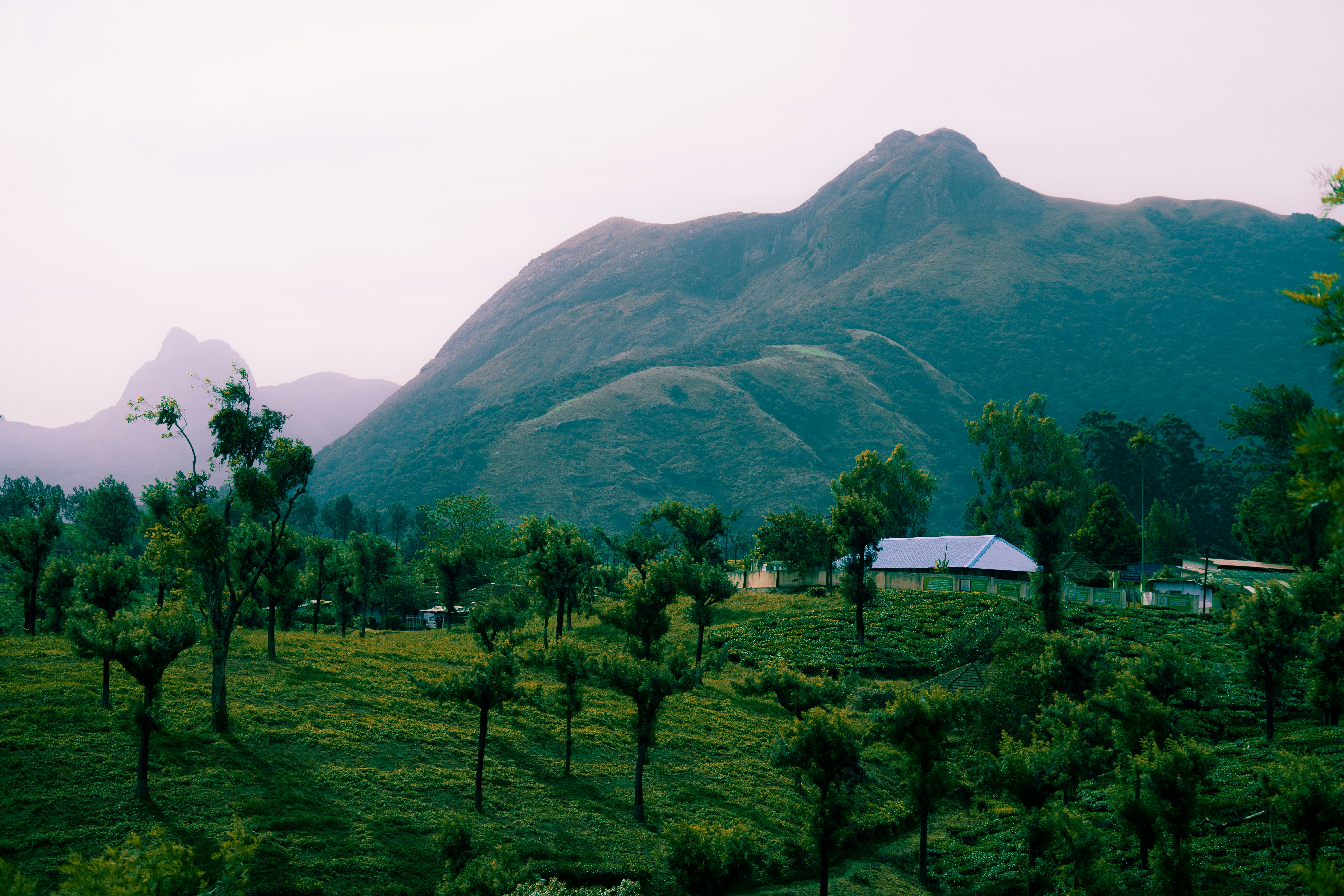 Photo by nanduvasudevan