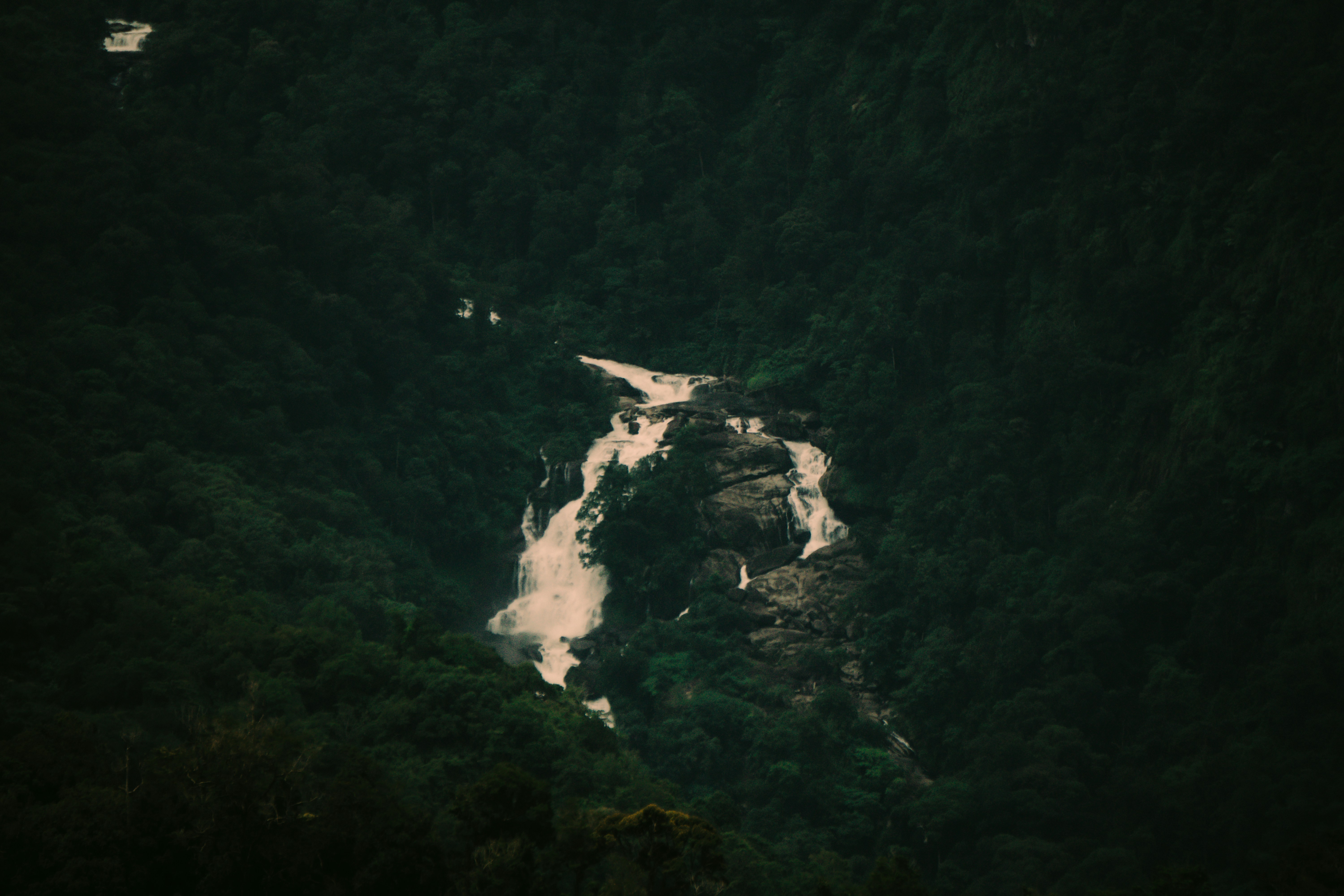 Photo by nanduvasudevan