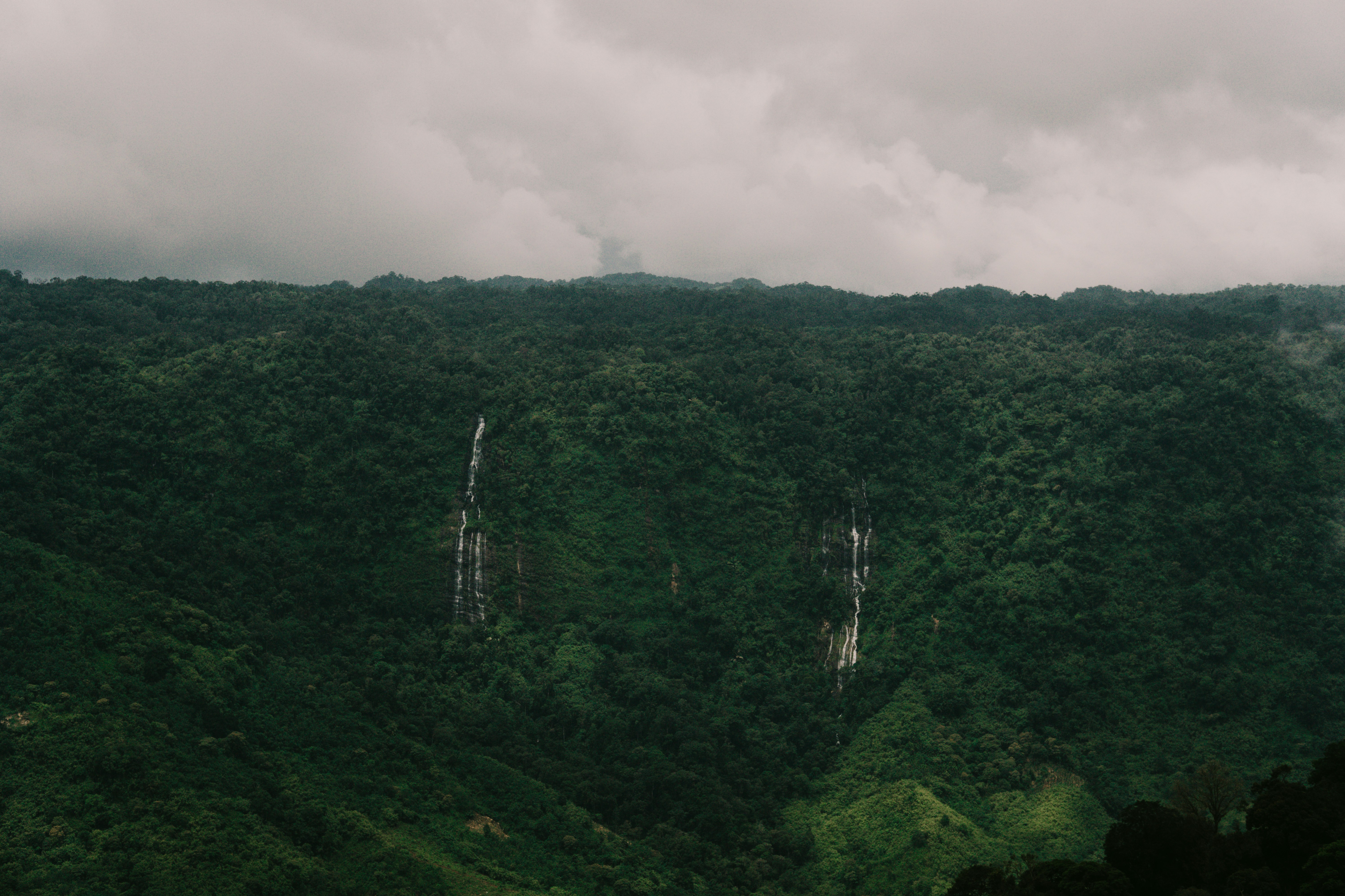 Photo by nanduvasudevan