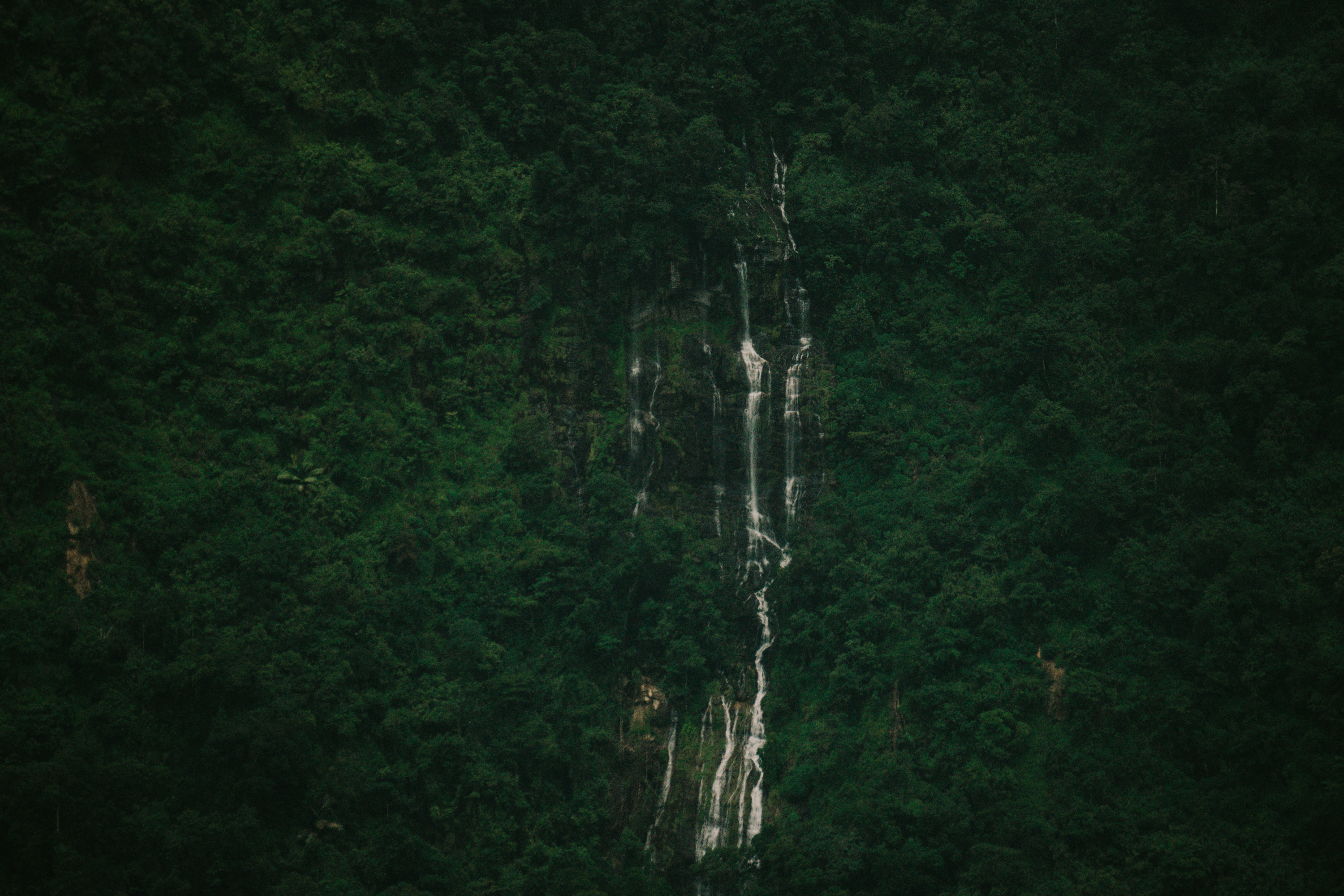Photo by nanduvasudevan