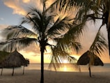 A cozy beachfront bungalow at sunset with palm trees swaying gently
