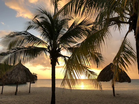 A serene ocean view at sunset with a luxury beach villa nestled among palm trees.