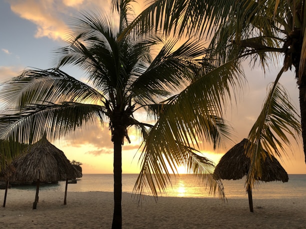 A serene view of Cherai Beach at sunset with cozy resort cottages nestled among palm trees.