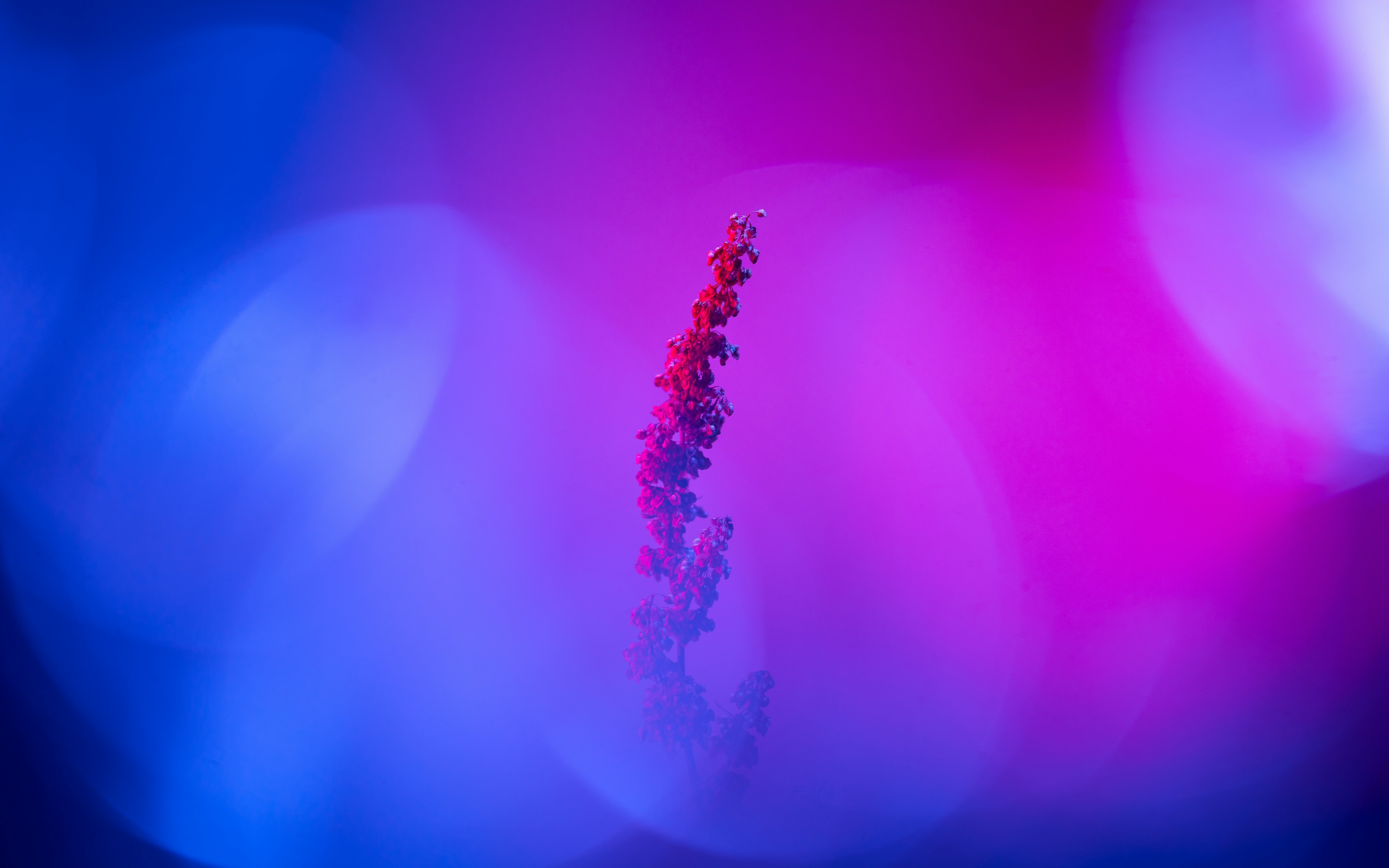 Photo by marekpiwnicki