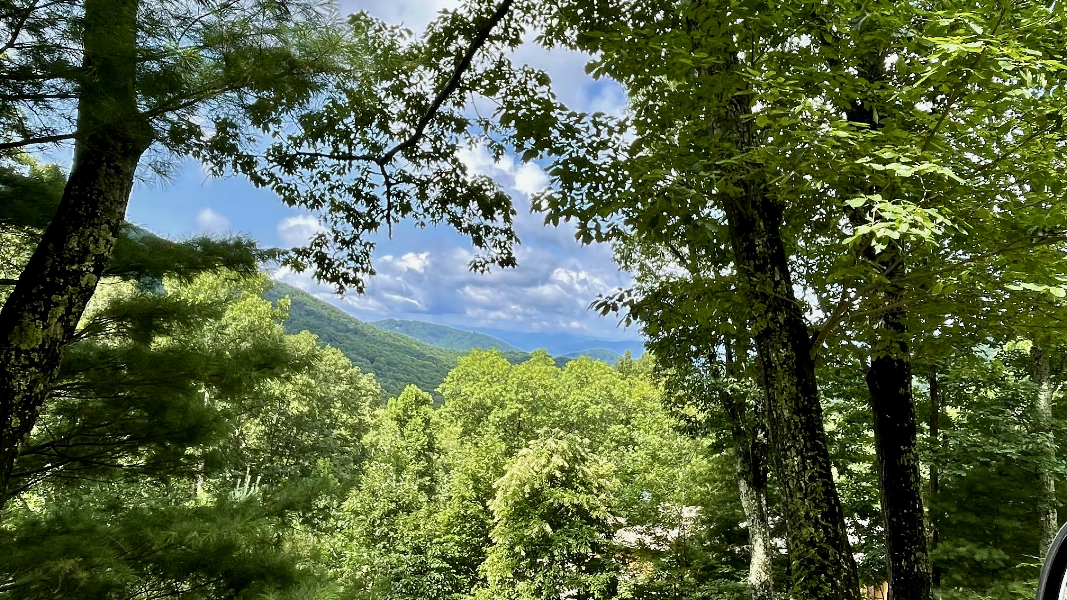 Photo by webtechczar