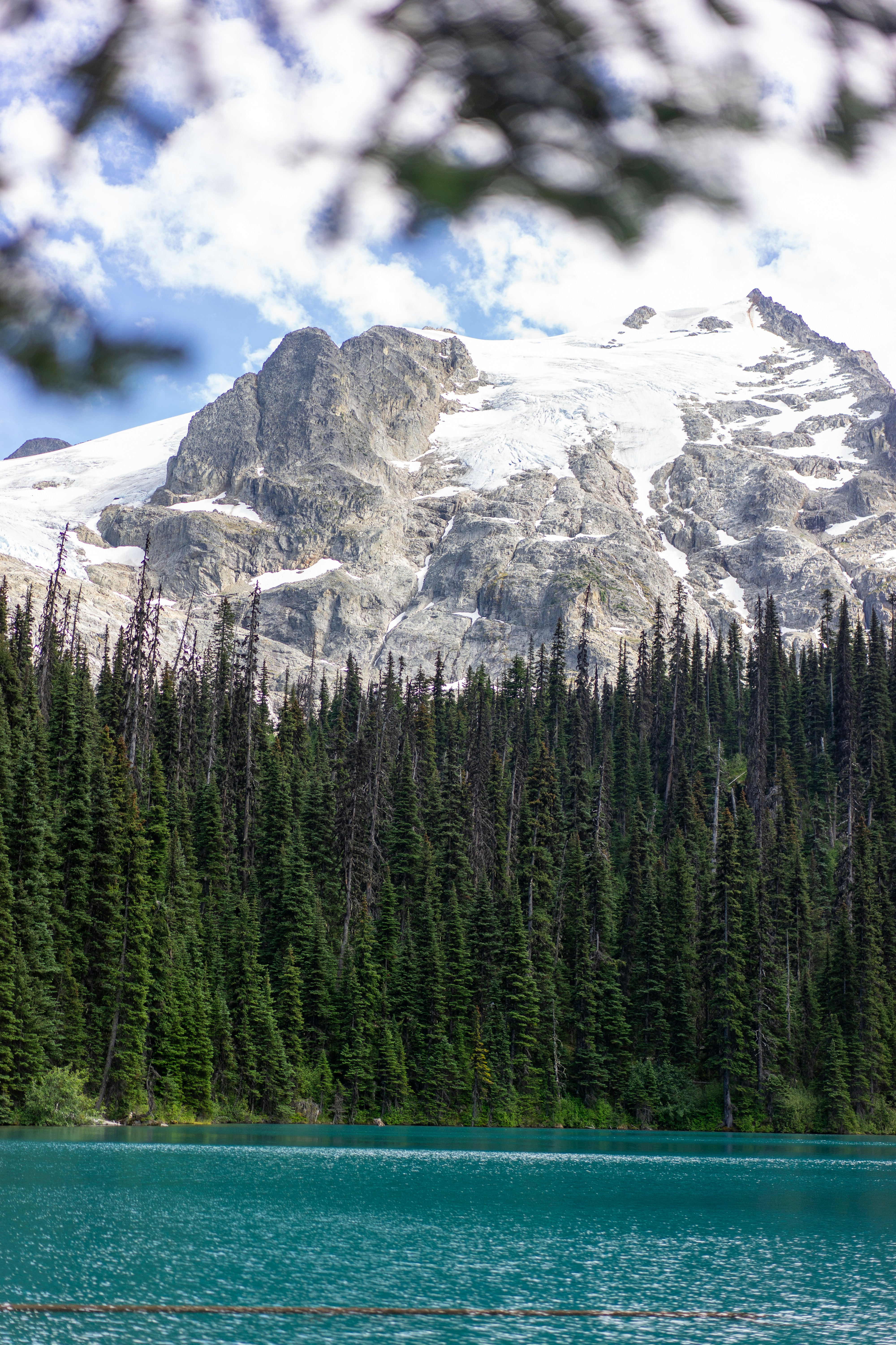 Photo by clayton_cardinalli