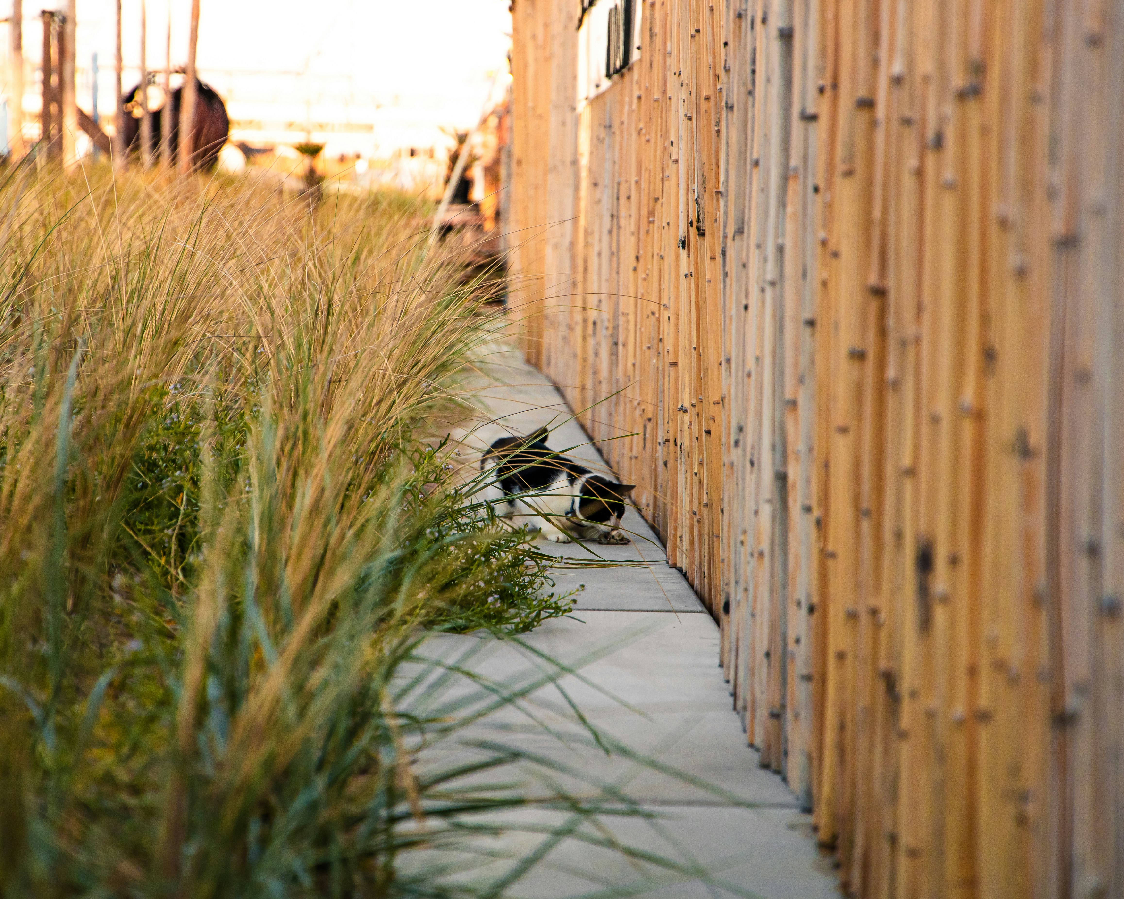 a pair of birds sitting on the side of a building