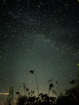 A starry night sky with constellations softly glowing, symbolizing astrology guidance.