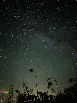 A starry night sky with constellations softly glowing, symbolizing astrology guidance.