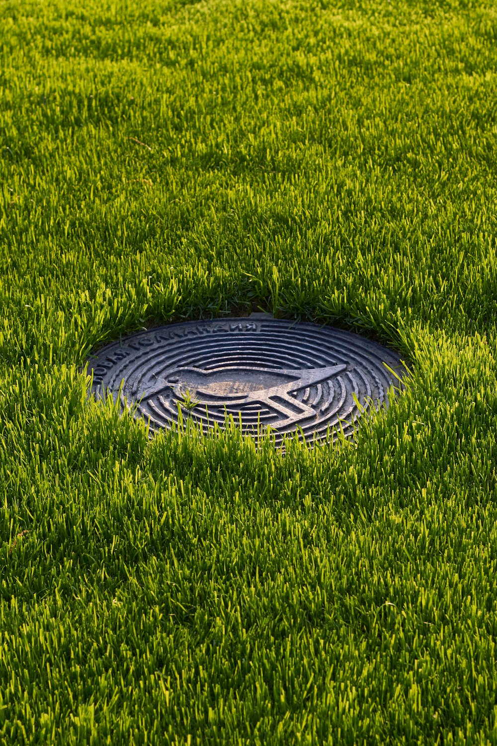 uno scarico in mezzo a un campo erboso