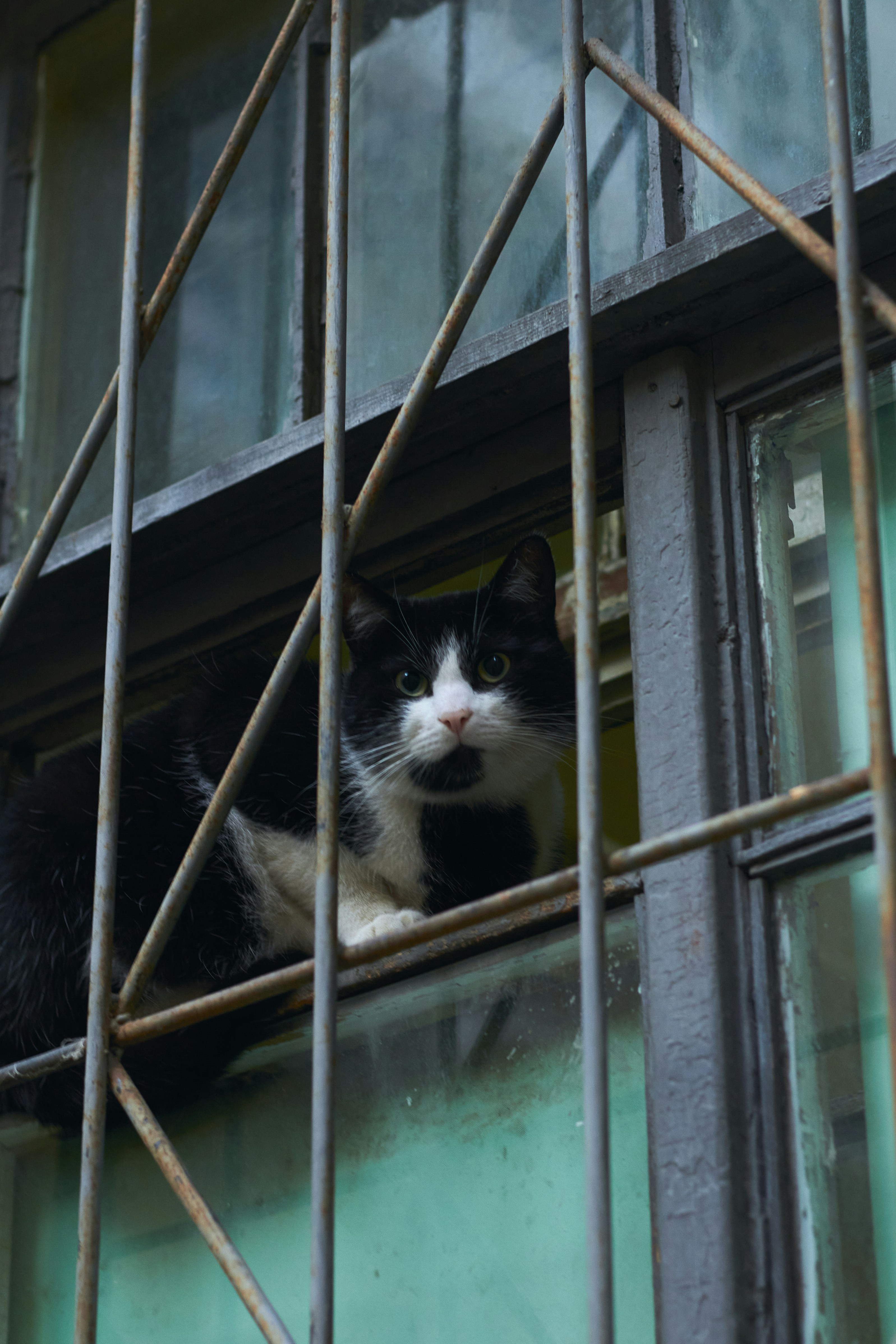 Photo by bartnewtone