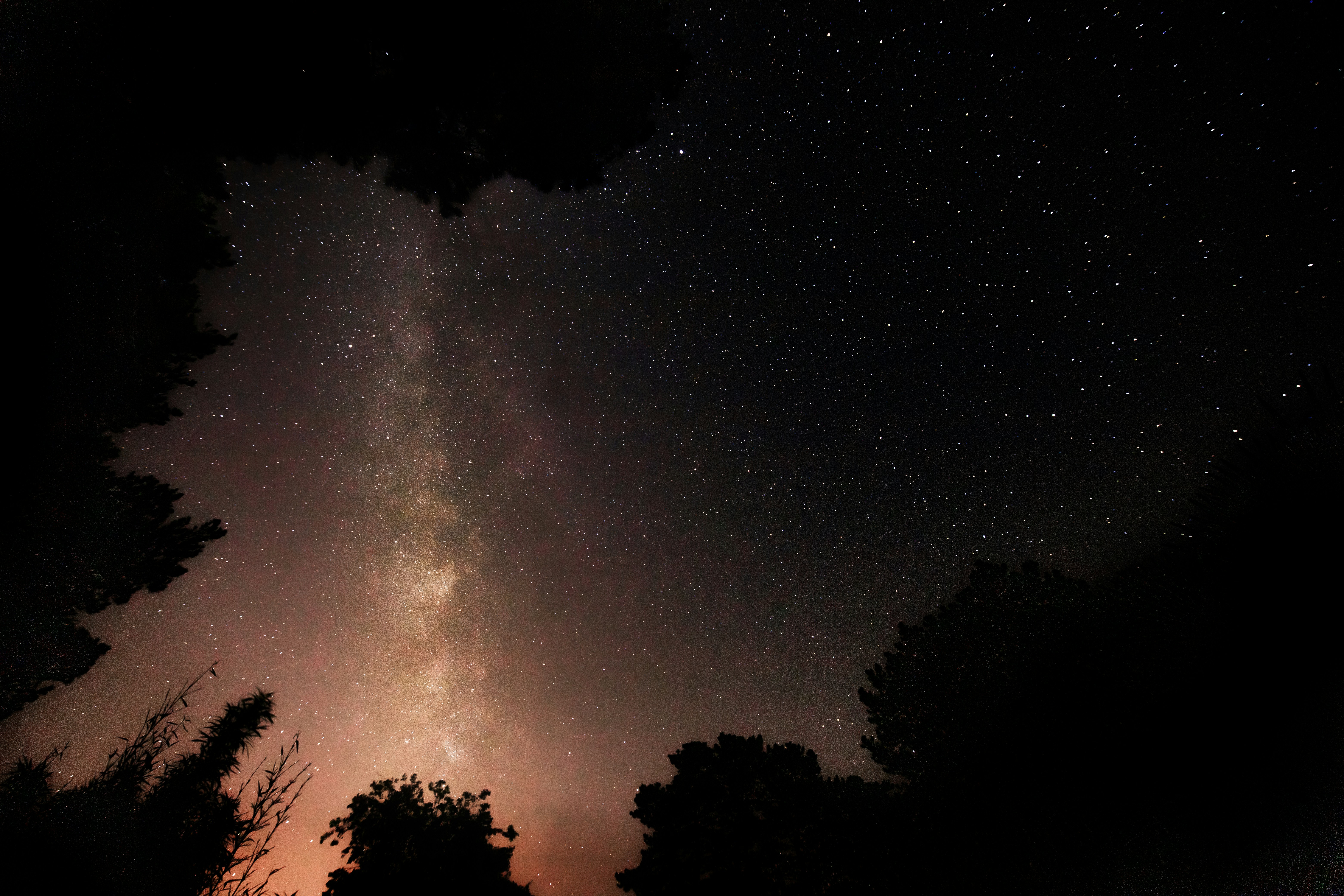 Photo by arizonanthony