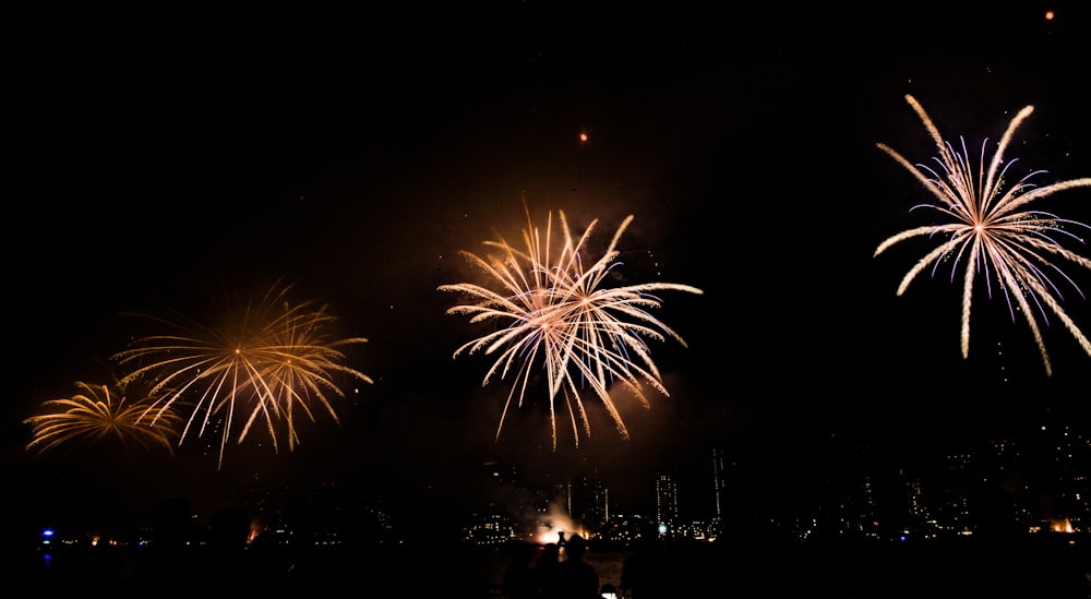 a group of fireworks are lit up in the night sky