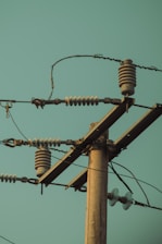 a bird sitting on top of a power pole