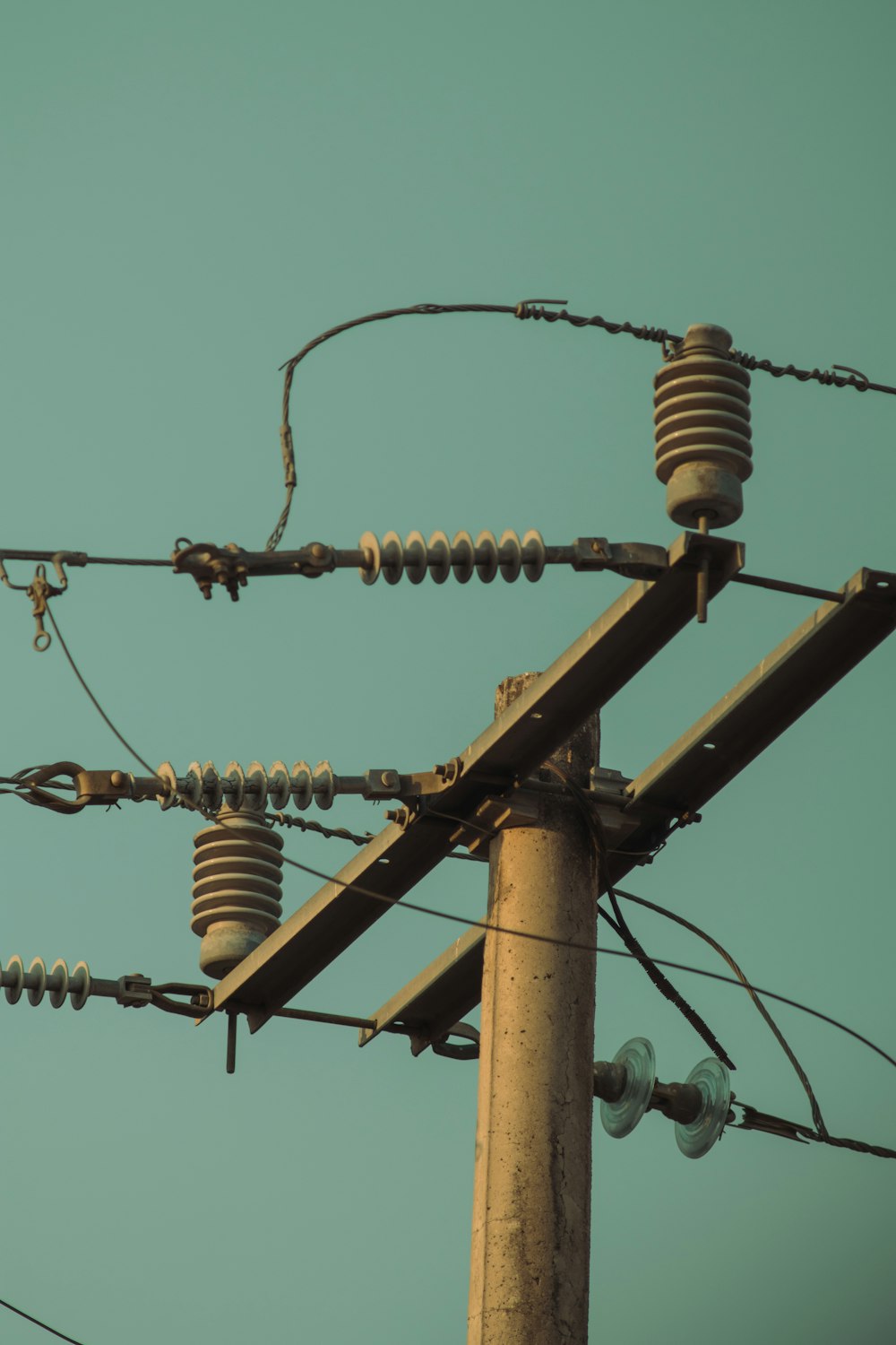 a bird sitting on top of a power pole