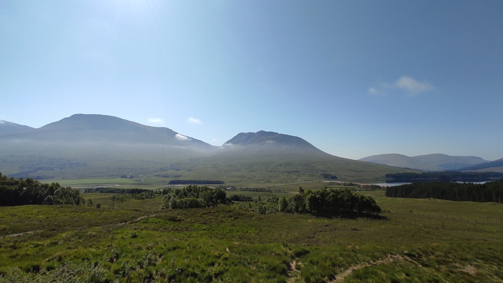 a grassy field with mountains in the background