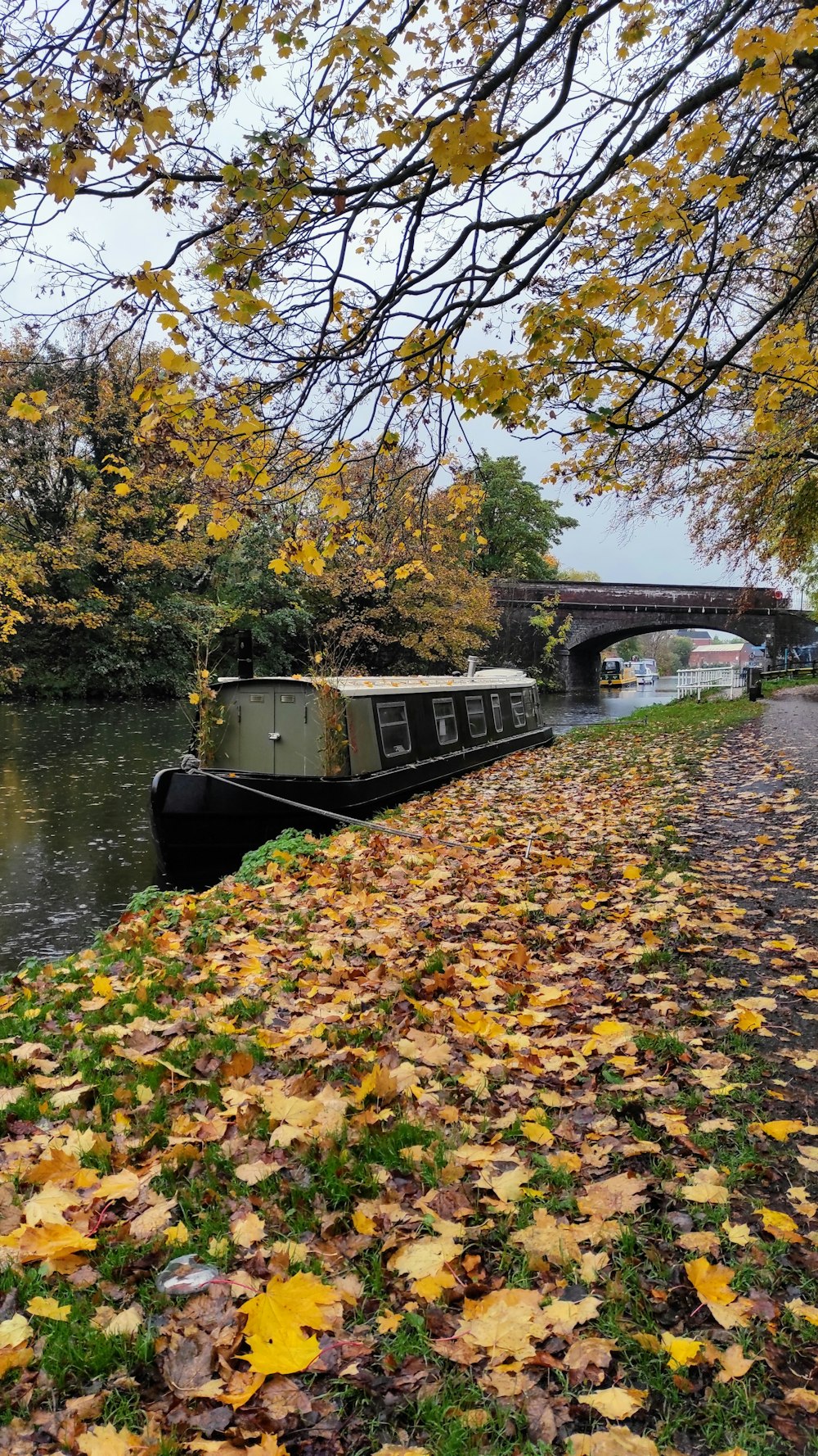 a boat is on the water in the fall