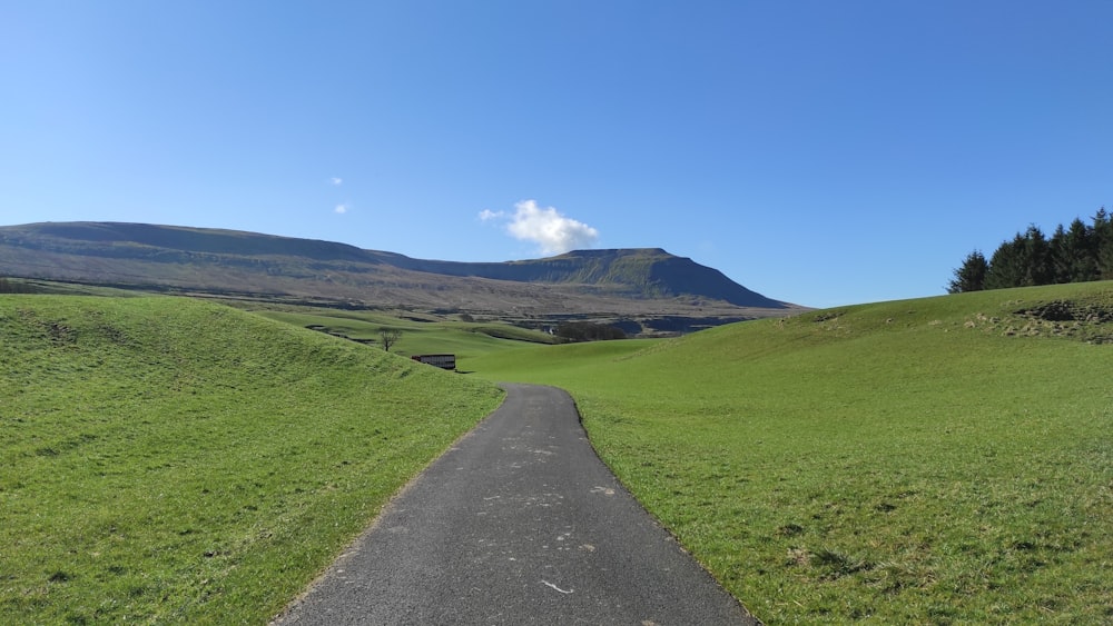 a paved road running through a lush green field