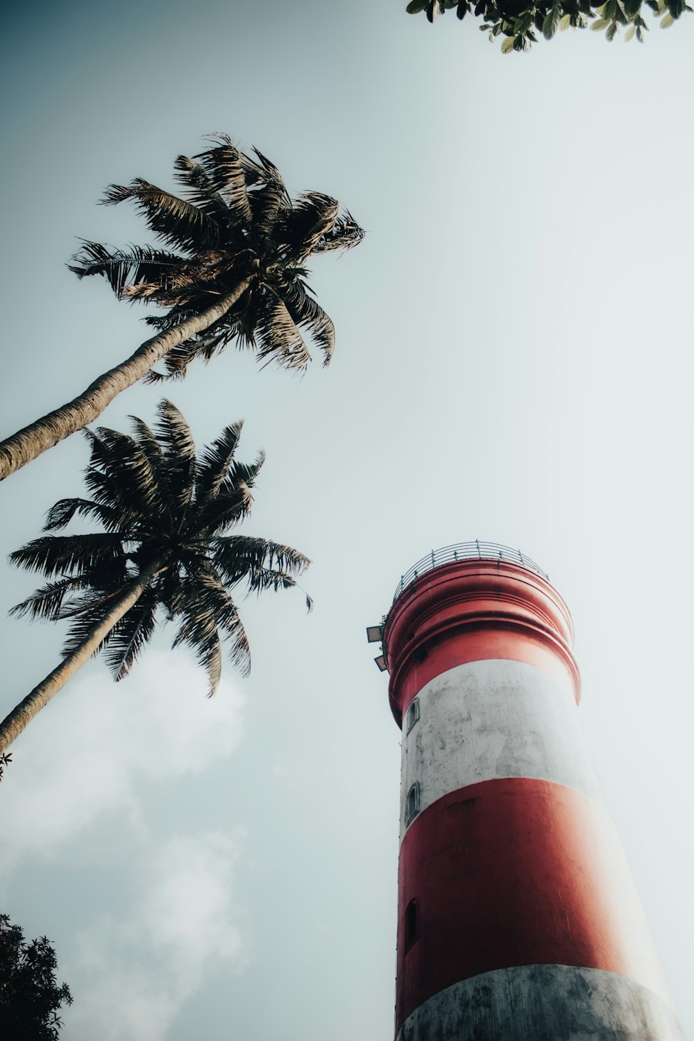 a red and white lighthouse with palm trees in the background