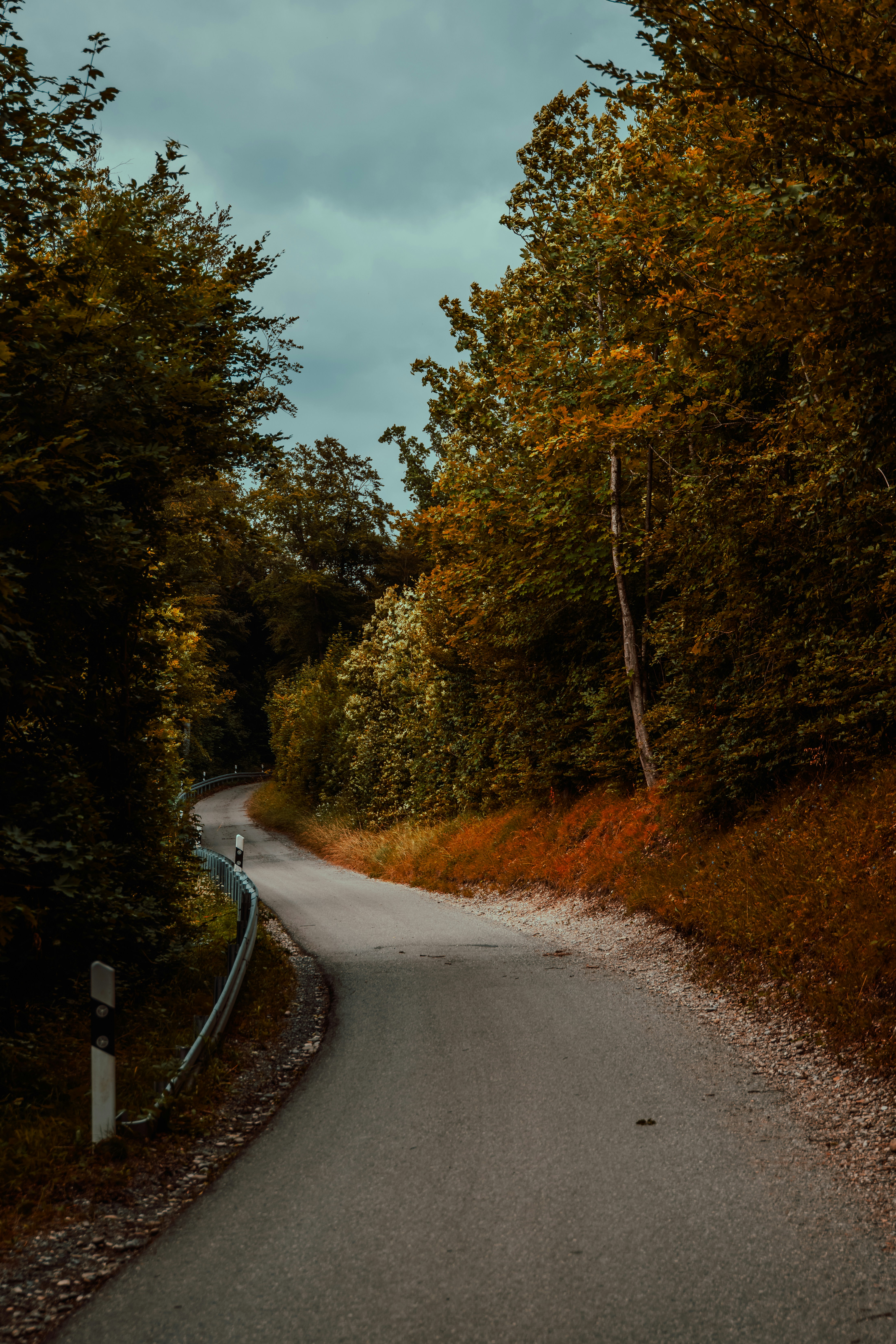 Photo by onthesearchforpineapples