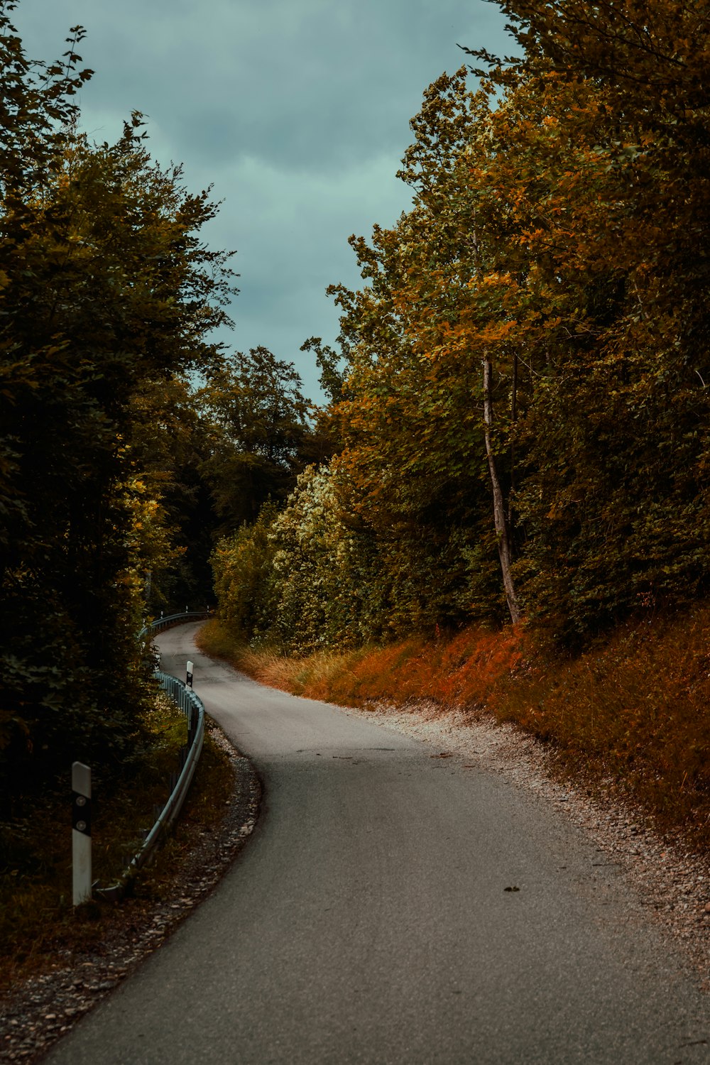 Une route sinueuse au milieu d’une forêt