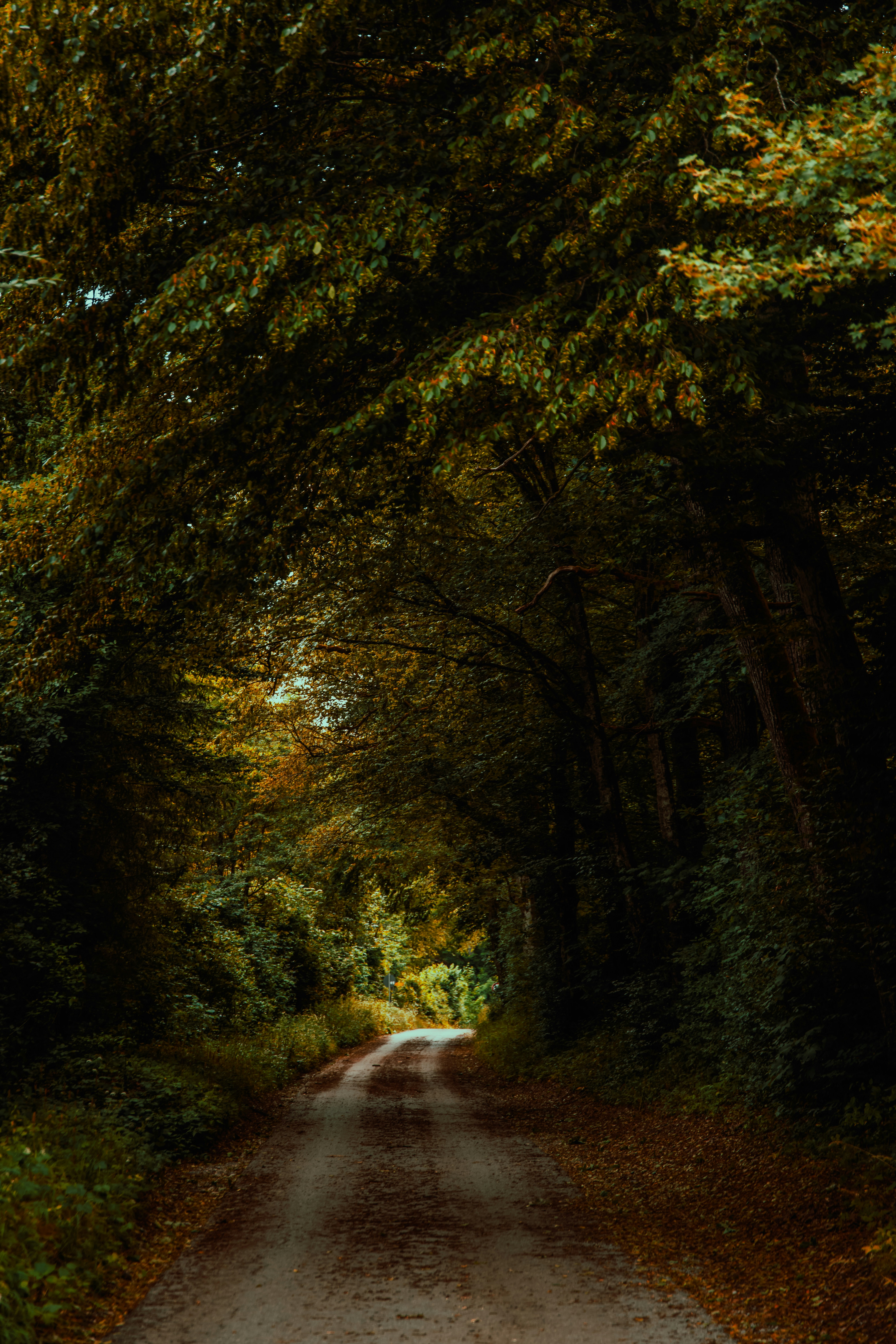 Photo by onthesearchforpineapples