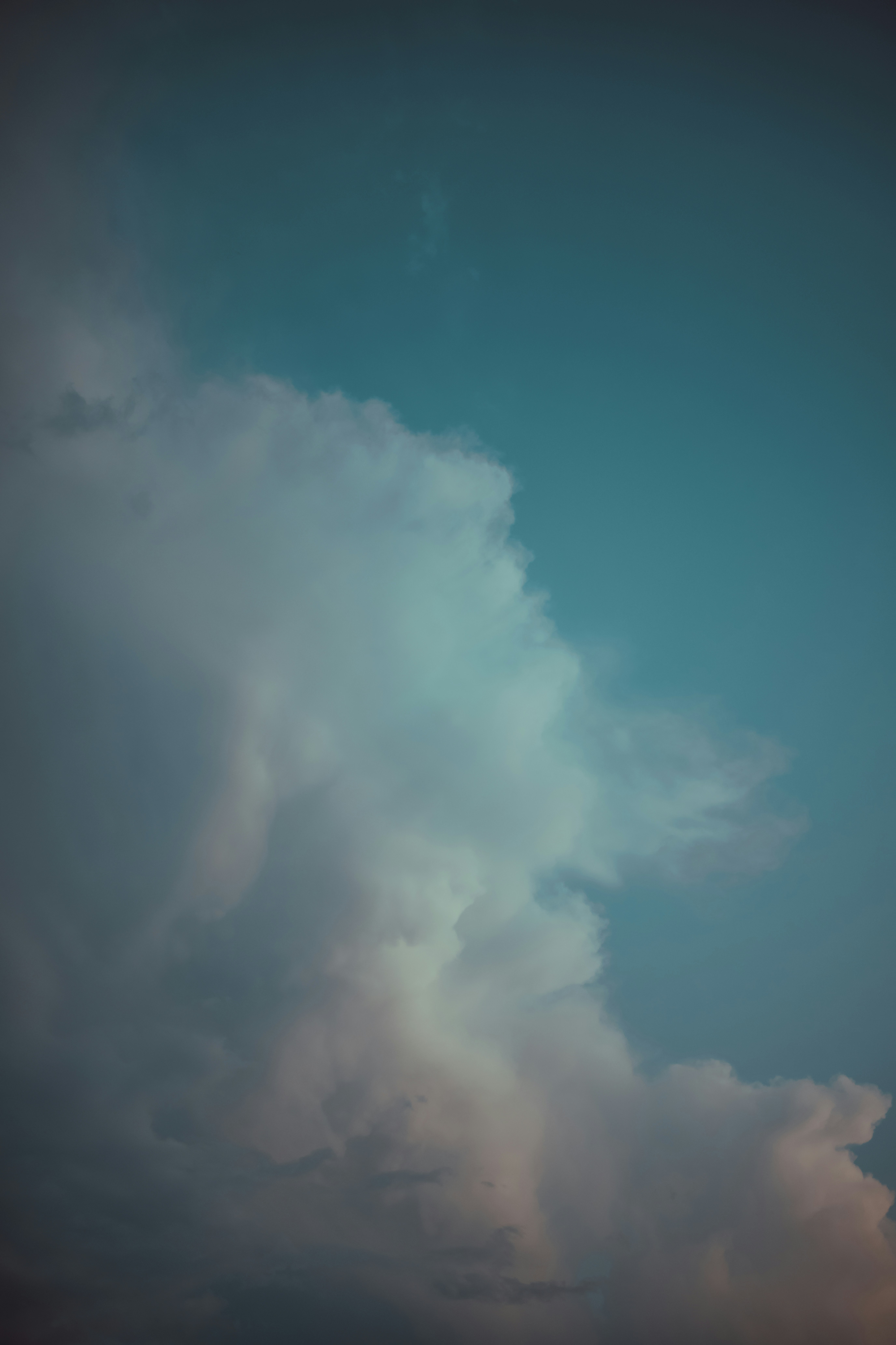 Photo by onthesearchforpineapples