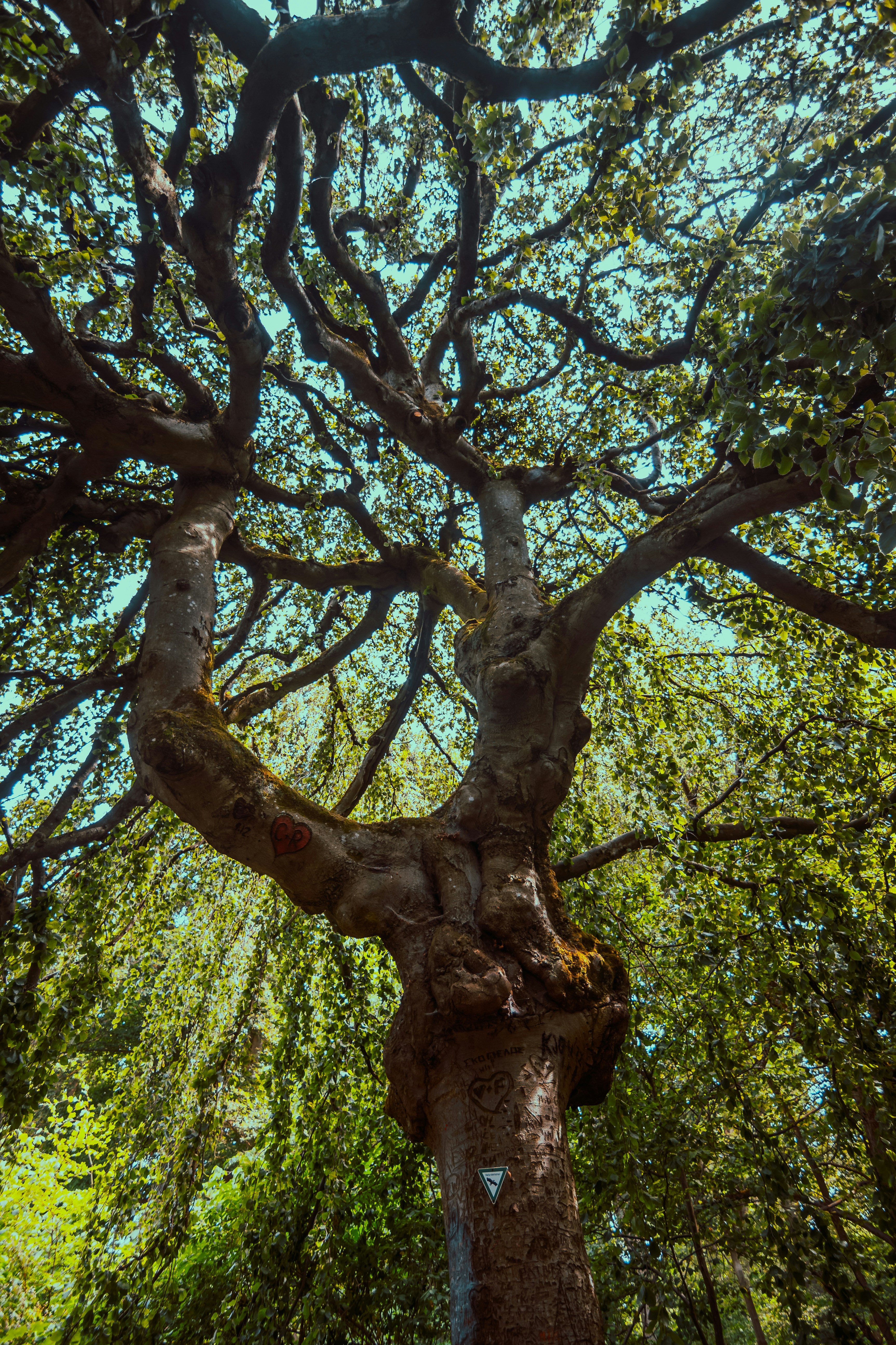 Photo by onthesearchforpineapples