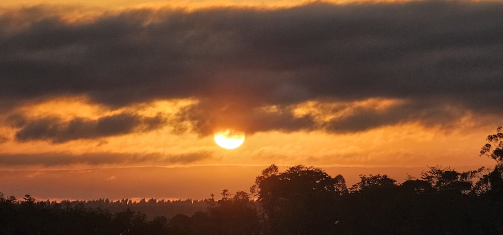 the sun is setting over the trees in the distance