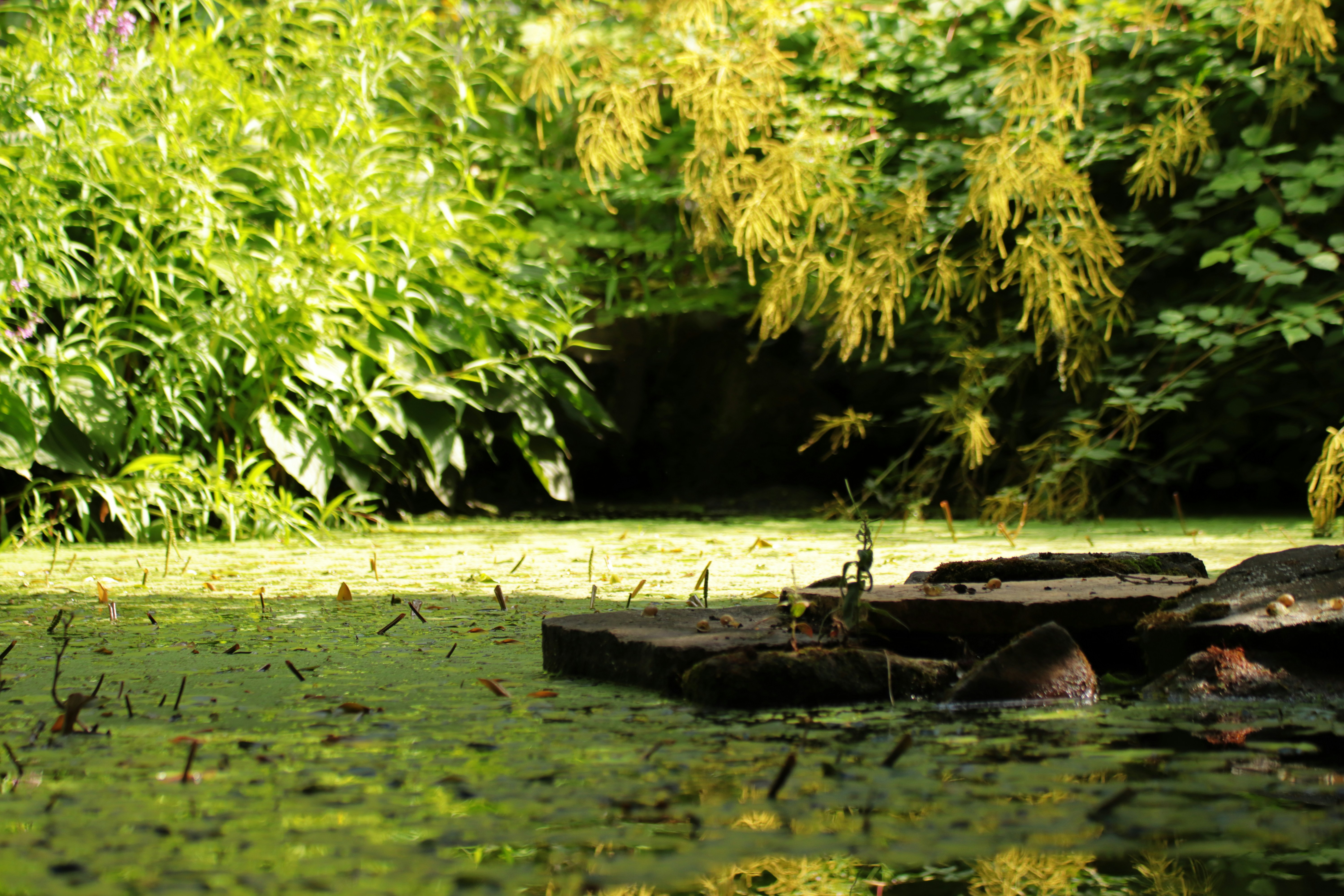 Photo by larsportjanow