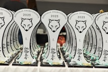 A collection of trophies with a stylized wolf head logo and the text 'European Championships 2023' displayed prominently. The trophies are arranged in neat rows, with a focus on the unique design and inscriptions in a foreign script. Each trophy is placed on a black base, and there are ribbons and medals attached at the bottom.